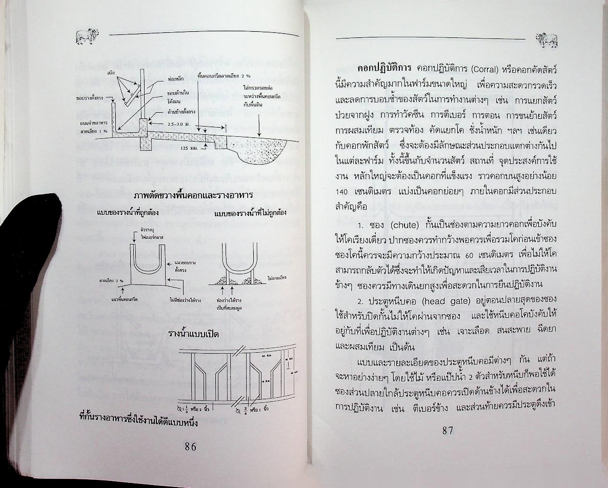 คู่มือการเลี้ยง โคบราห์มัน