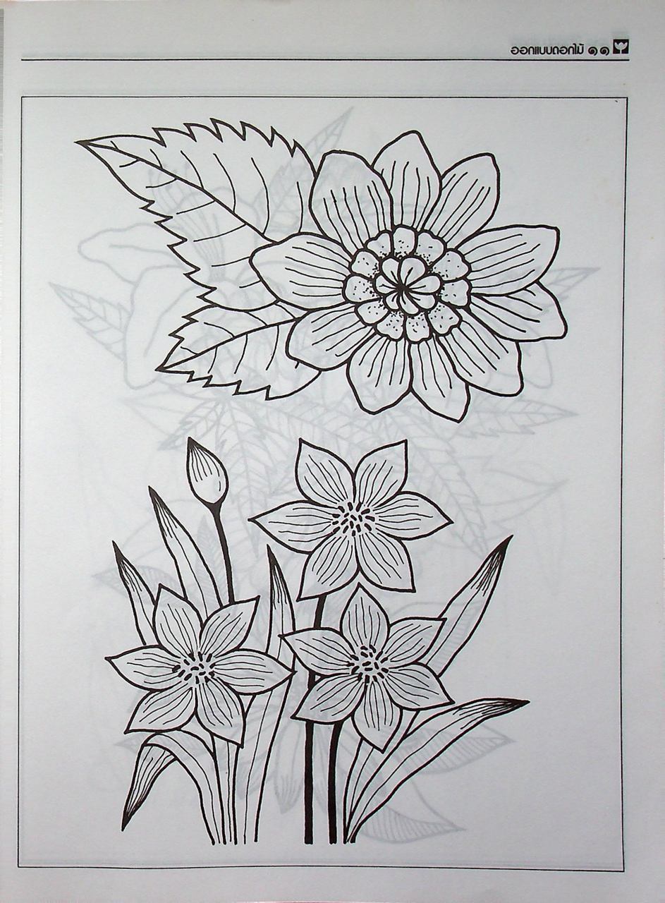 ออกแบบดอกไม้ FLOWERS DESIGN