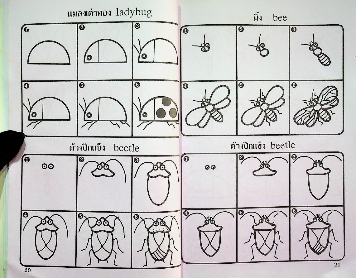 หัดวาดการ์ตูน 5 รูปแมลง