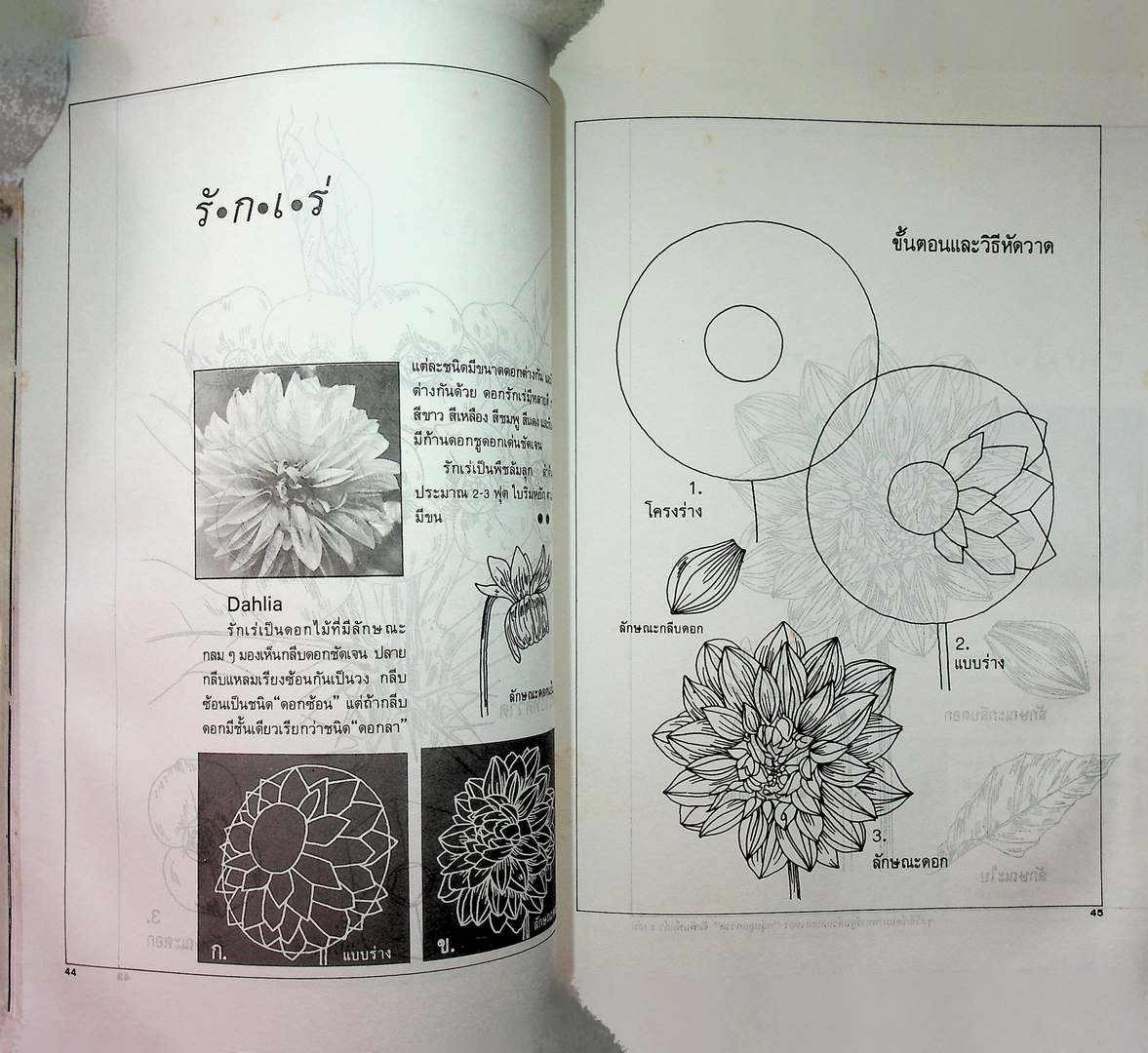 วาดดอกไม้
