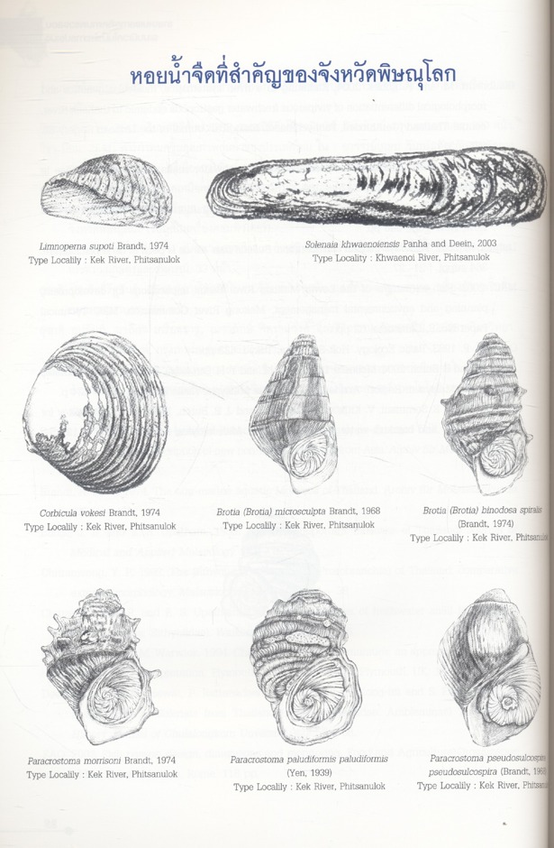 รายงานผลการติดตามตรวจสอบระบบนิเวศในน้ำและการประมง โครงการเขื่อนแควน้อยอันเนื่องมาจากพระราชดำริ