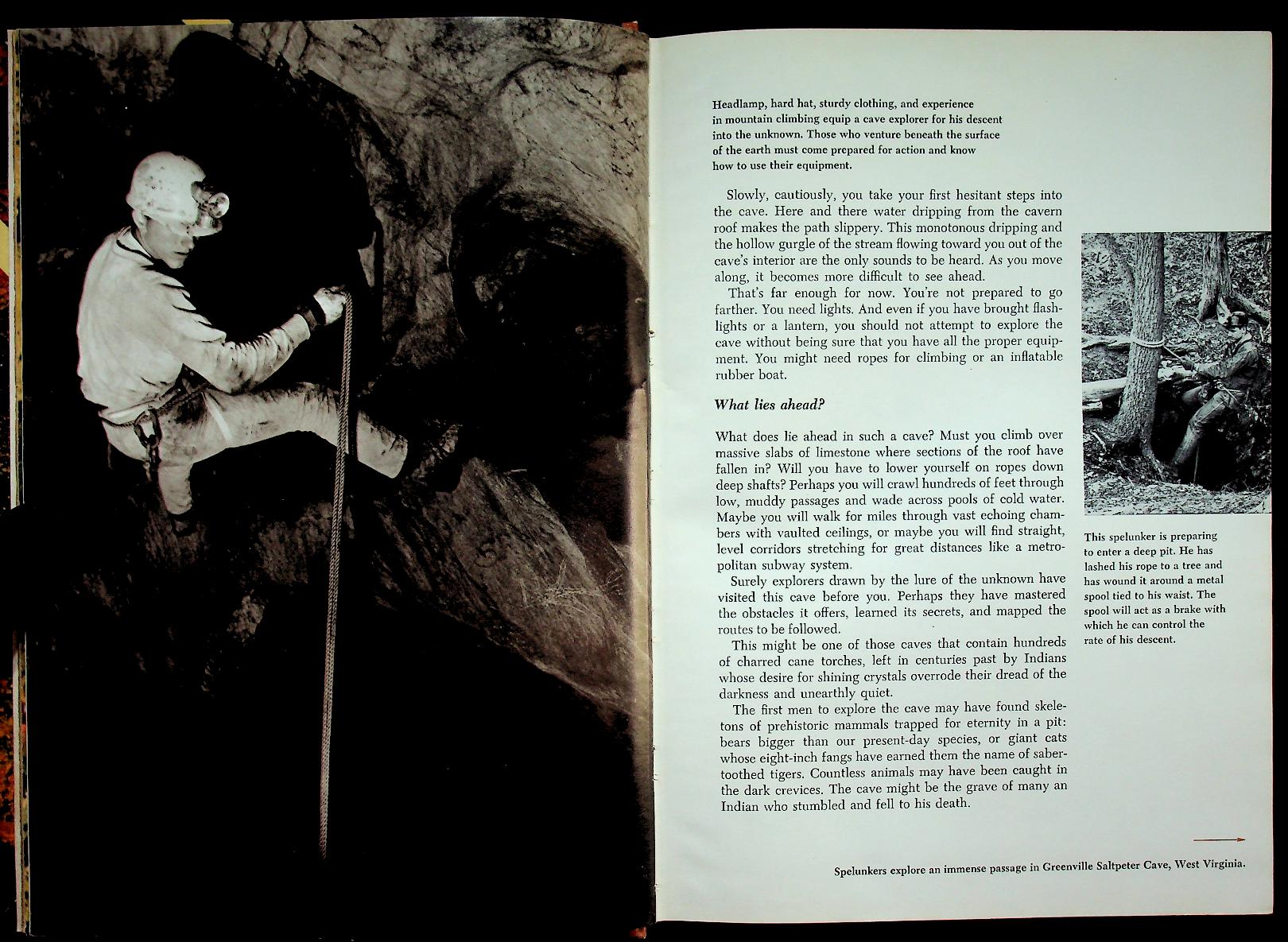 The Life of the Cave