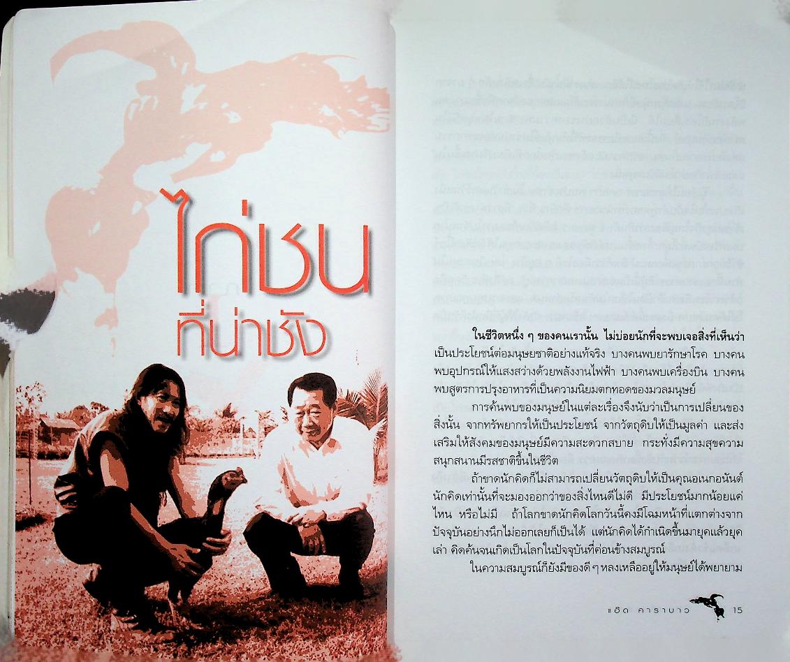 ไก่ชนที่น่าชัง