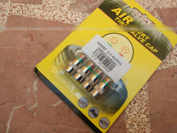 จุ๊บวัดลมยางอัตโนมัติ ขนาดแรงดัน 32-36psi Car Tyre Pressure Cap Visual