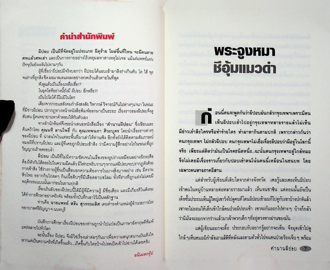 พระจูงหมาชีอุ้มแมวดำ ตำนาน ผีปอบ