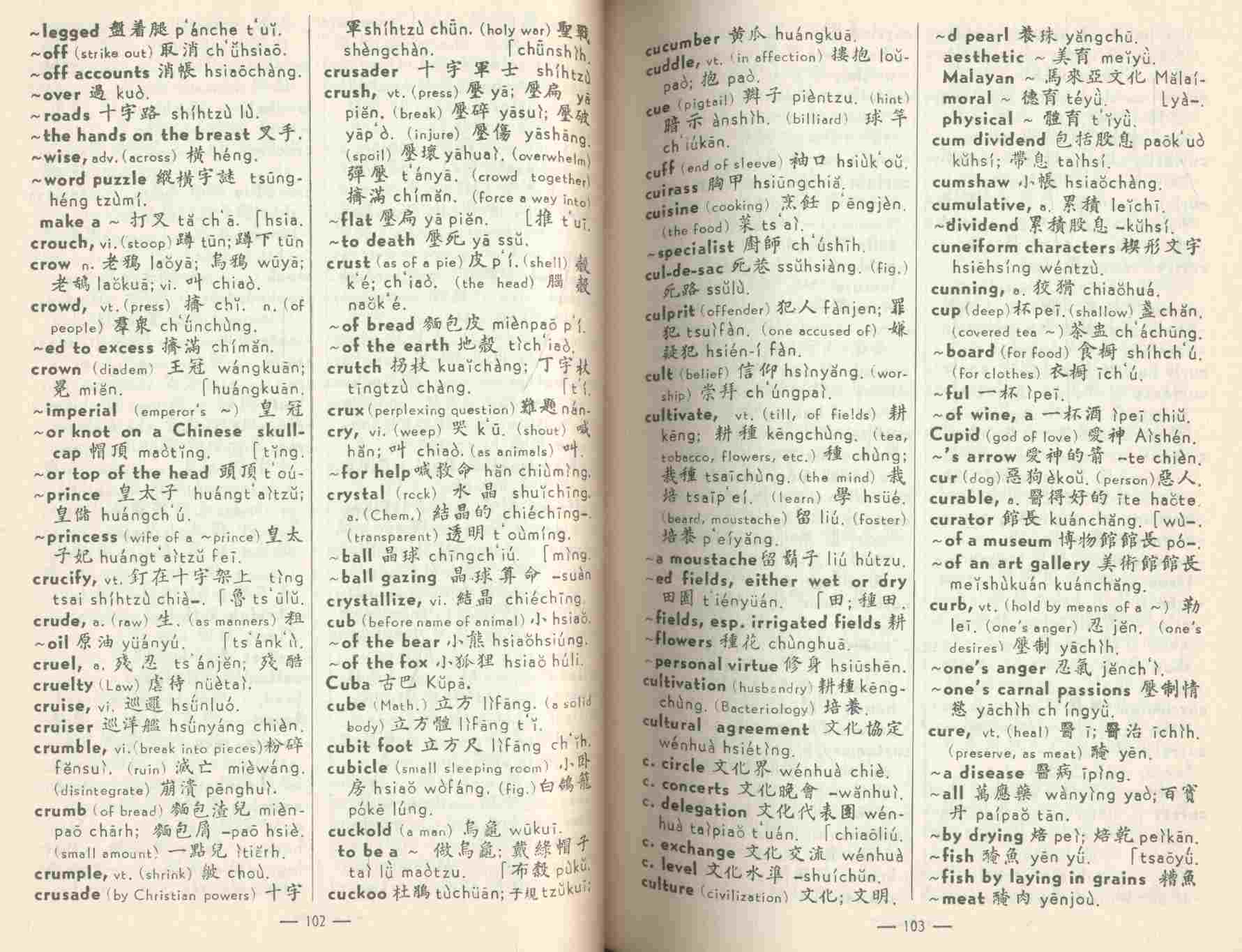 ENGLISH - MANDARIN DICTIONARY