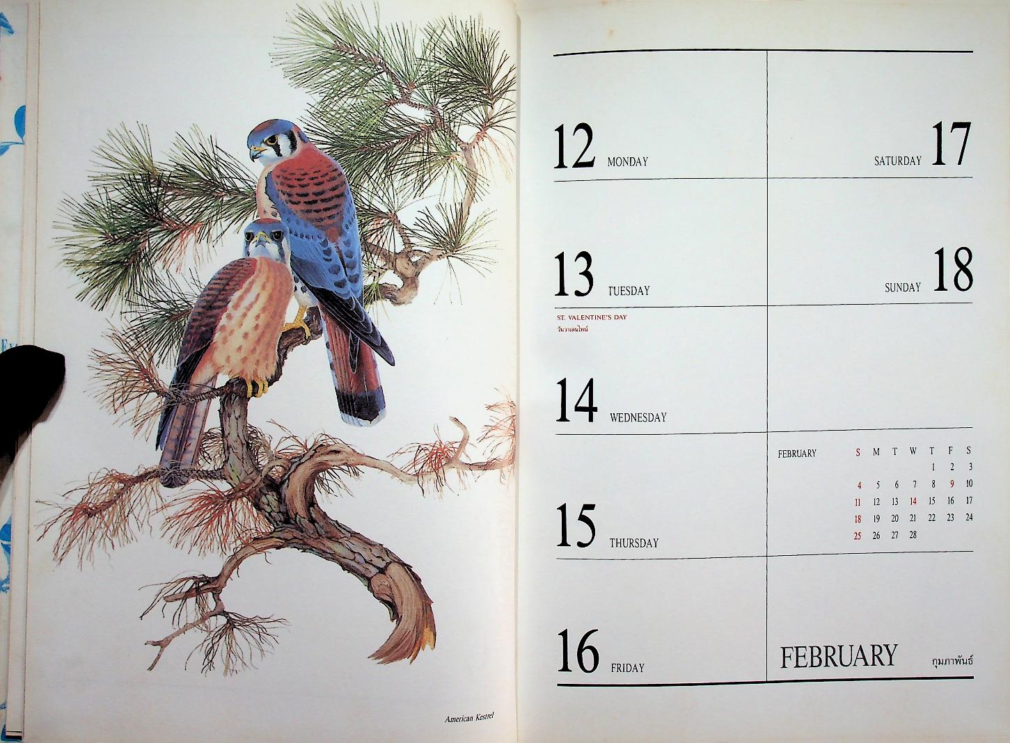 สมุดไดอารี่ ภาพวาดนก EXOTIC BIRDS : CENTRAL DIARY 1990