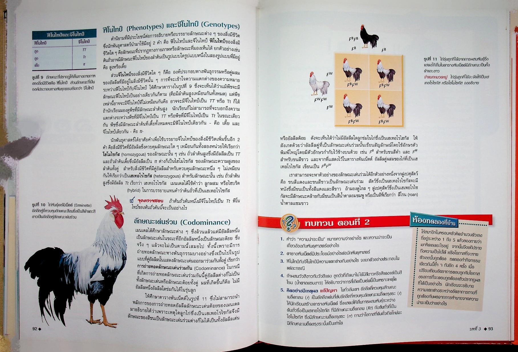 สำรวจโลกวิทยาศาสตร์ เซลล์และพันธุกรรม