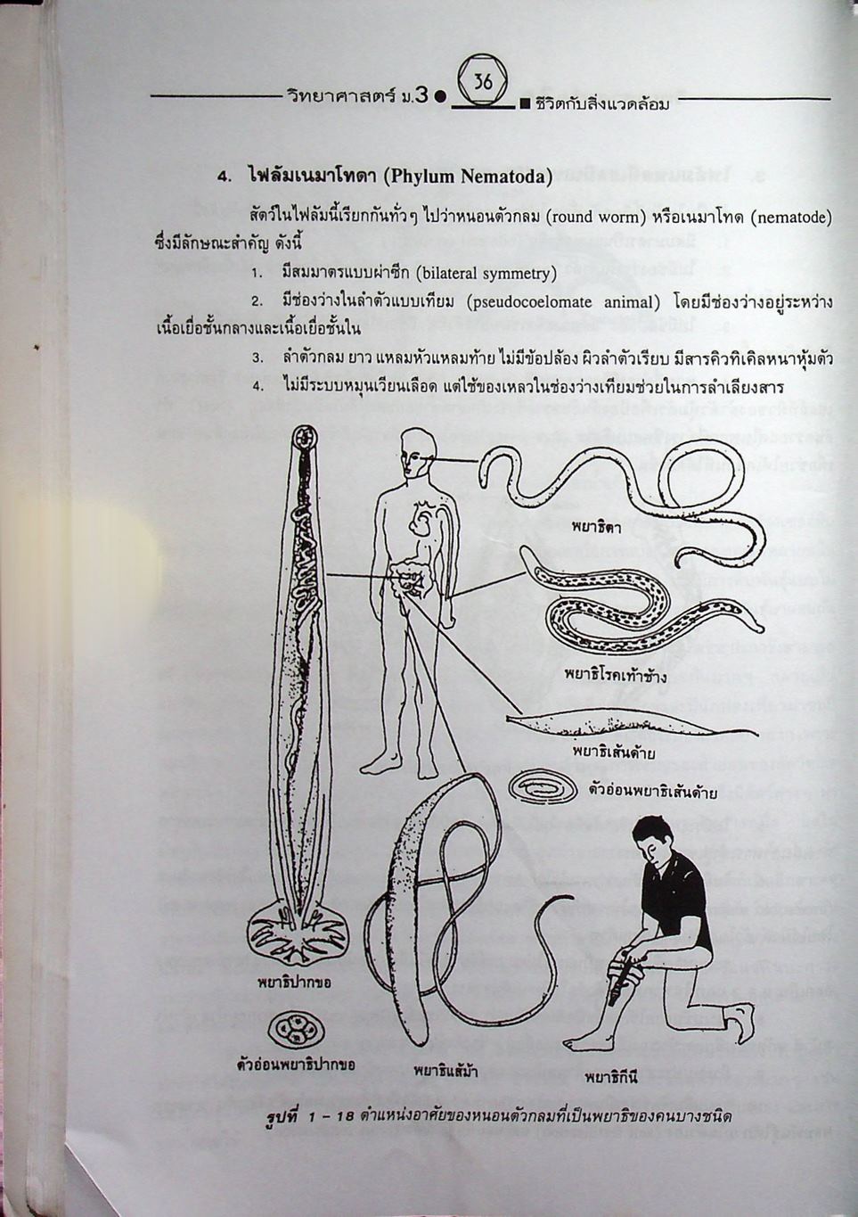 คู่มือเตรียมสอบสาระการเรียนรู้พื้นฐาน วิทยาศาสตร์ ม.3 ชีวิตกับสิ่งแวดล้อม สิ่งมีชีวิตกับกระบวนการดำรงชีวิต