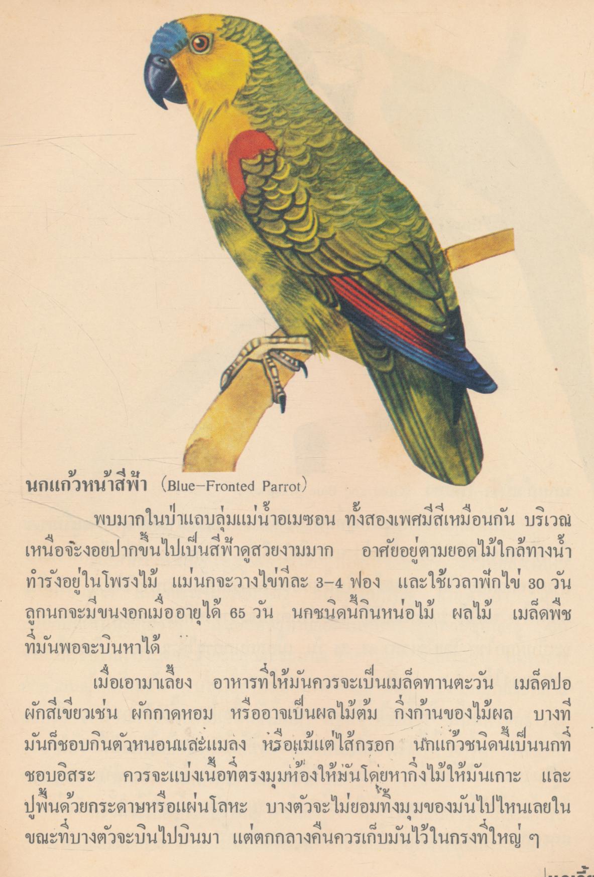 หนังสือชุด สวนสัตว์อนุชน นกเลี้ยง