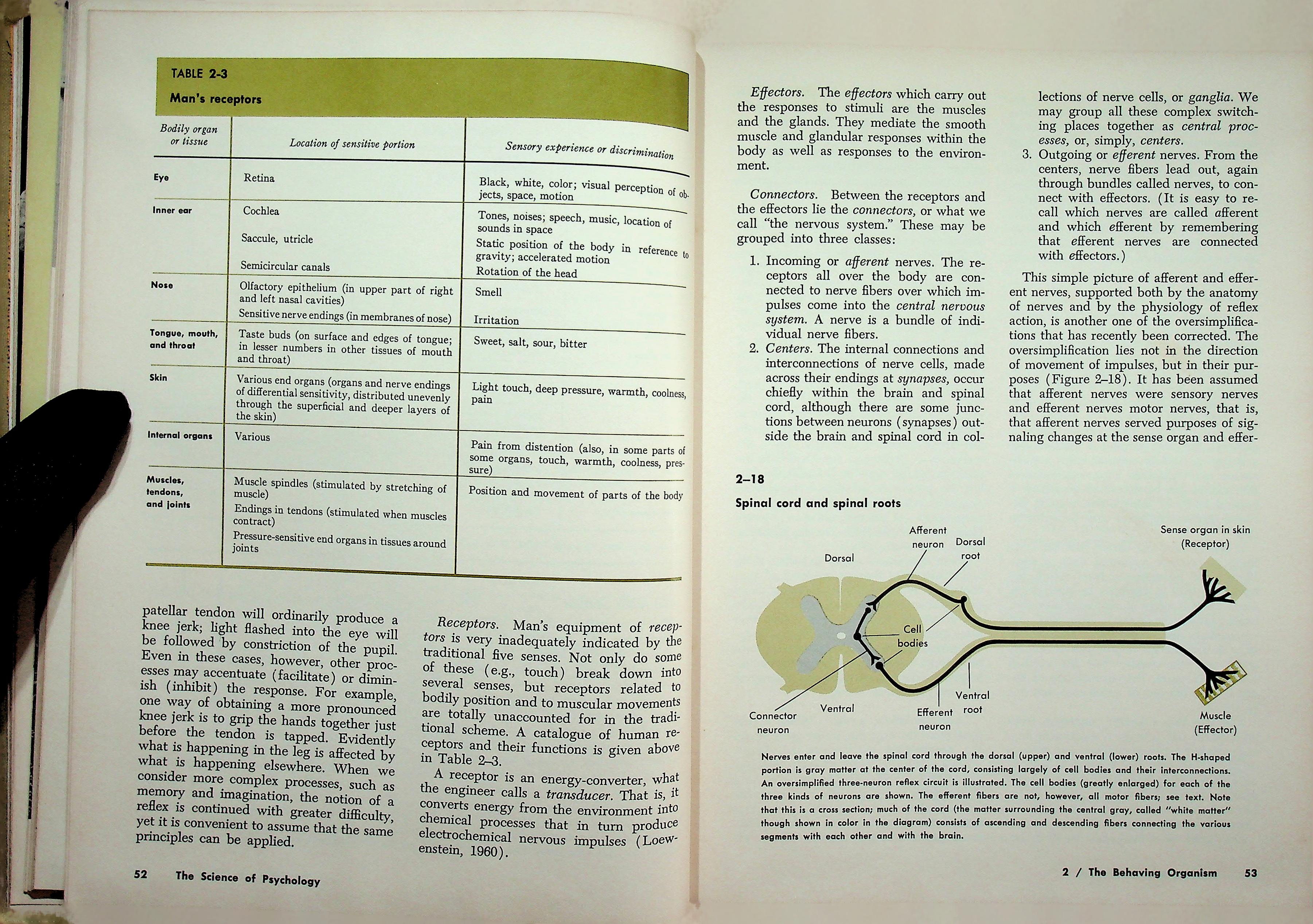 Introduction to Psychology