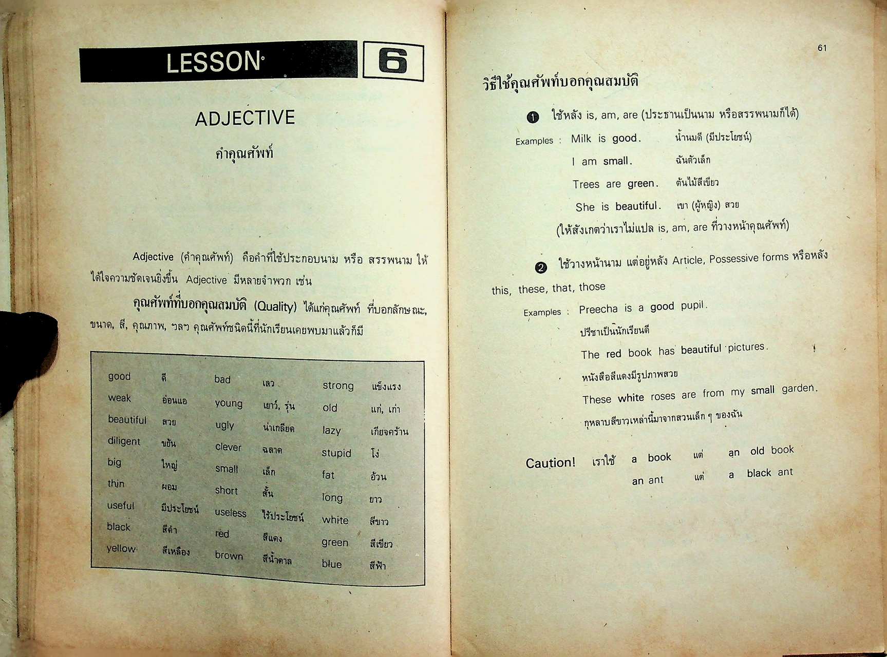 CURRENT ENGLISH EXPRESSION PRATOM 6