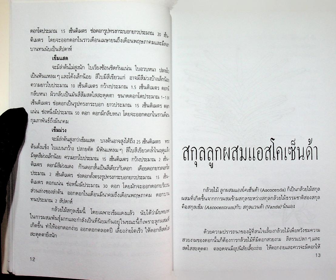 กล้วยไม้สกุลเข็ม