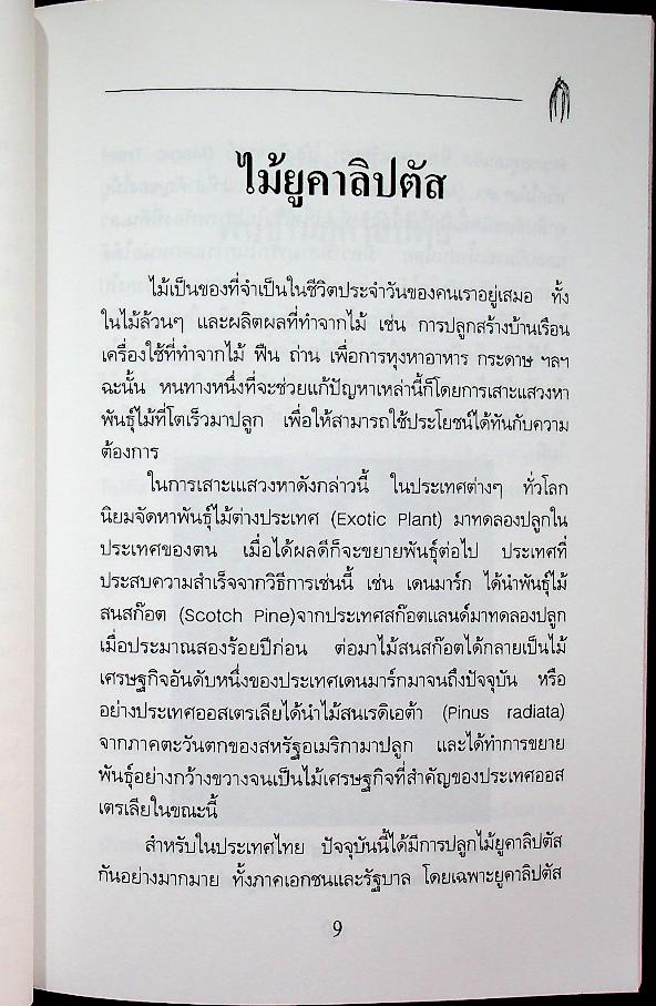 คู่มือการปลูก ยูคาลิปตัส