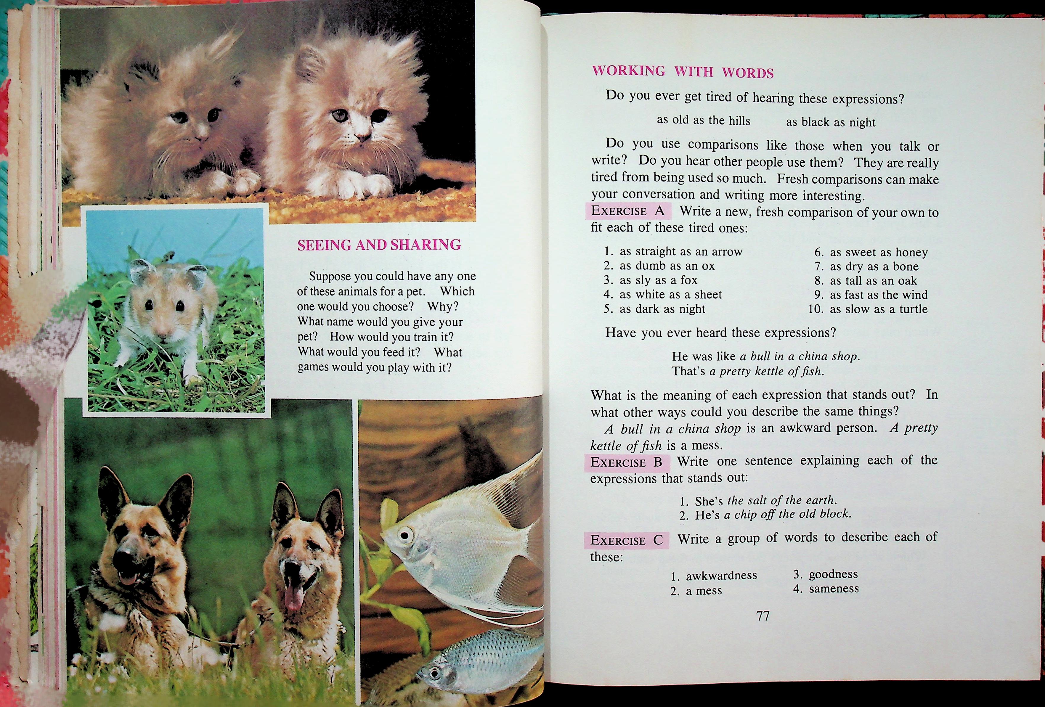 OUR LANGUAGE TODAY Level D