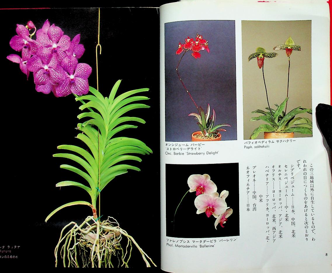 JOYFUL GREEN LIFE : Orchid (ดอกกล้วยไม้ ฉบับภาษาญี่ปุ่น)