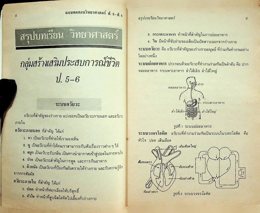 แบบทดสอบ วิทยาศาสตร์ ป.5 ป.6