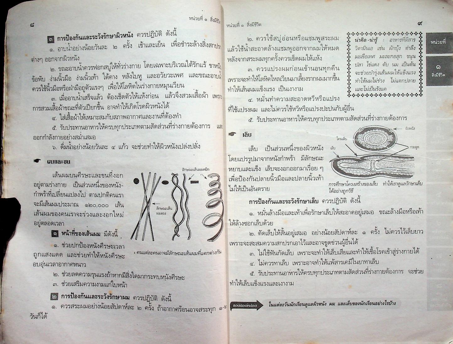 เฉลย สำหรับผู้สอน แนวหน้า กลุ่มสร้างเสริมประสบการณ์ชีวิต สปช.๔ ชั้นประถมศึกษาปีที่ ๔