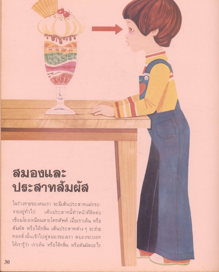 สารานุกรมเยาวชน นานาความรู้ชุดที่ 1 ร่างกายของเรา