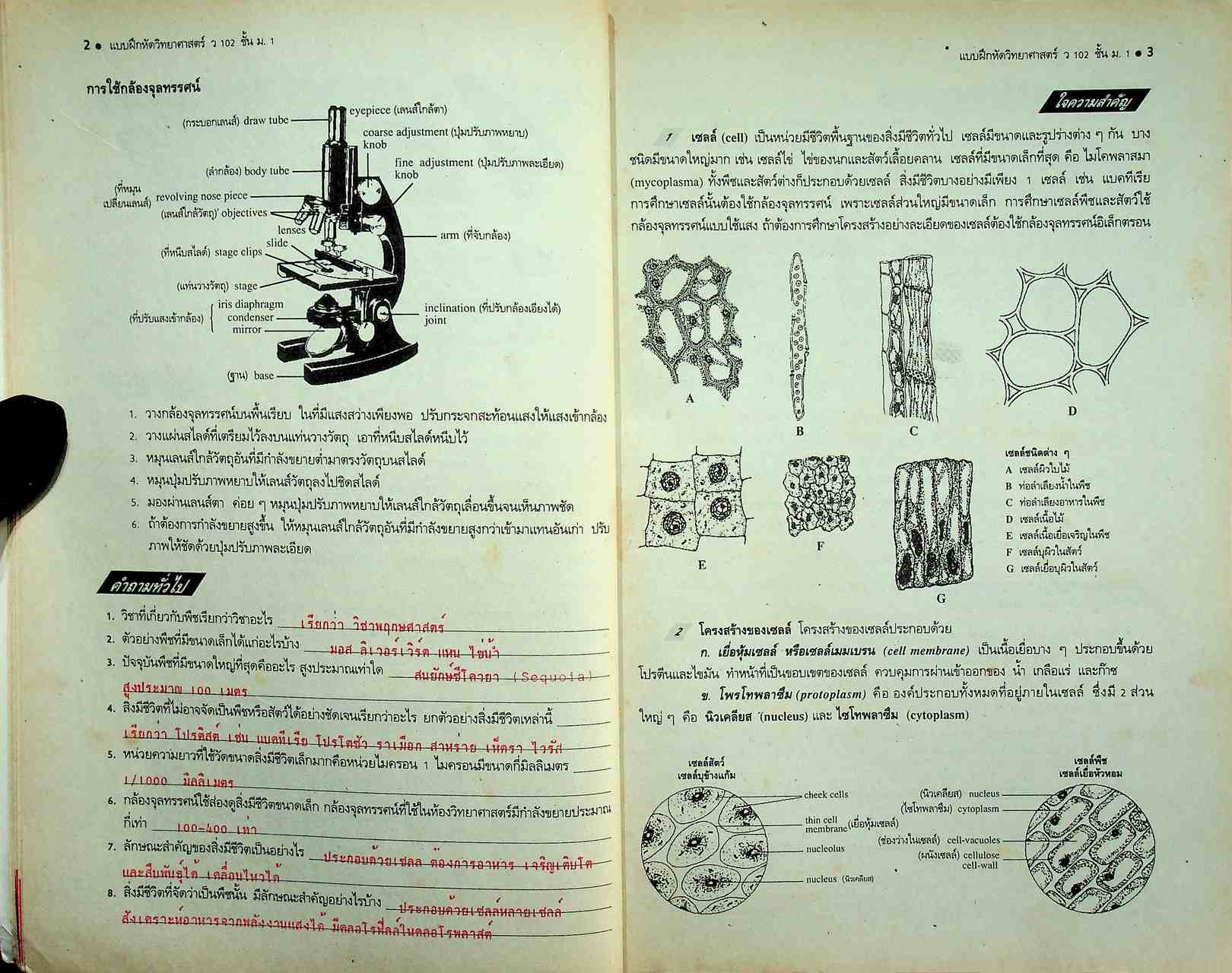 คู่มือครู-เฉลย แบบฝึกหัด วิทยาศาสตร์ ว 102 ชั้นมัธยมศึกษาปีที่ 1 ภาคเรียนที่ 2