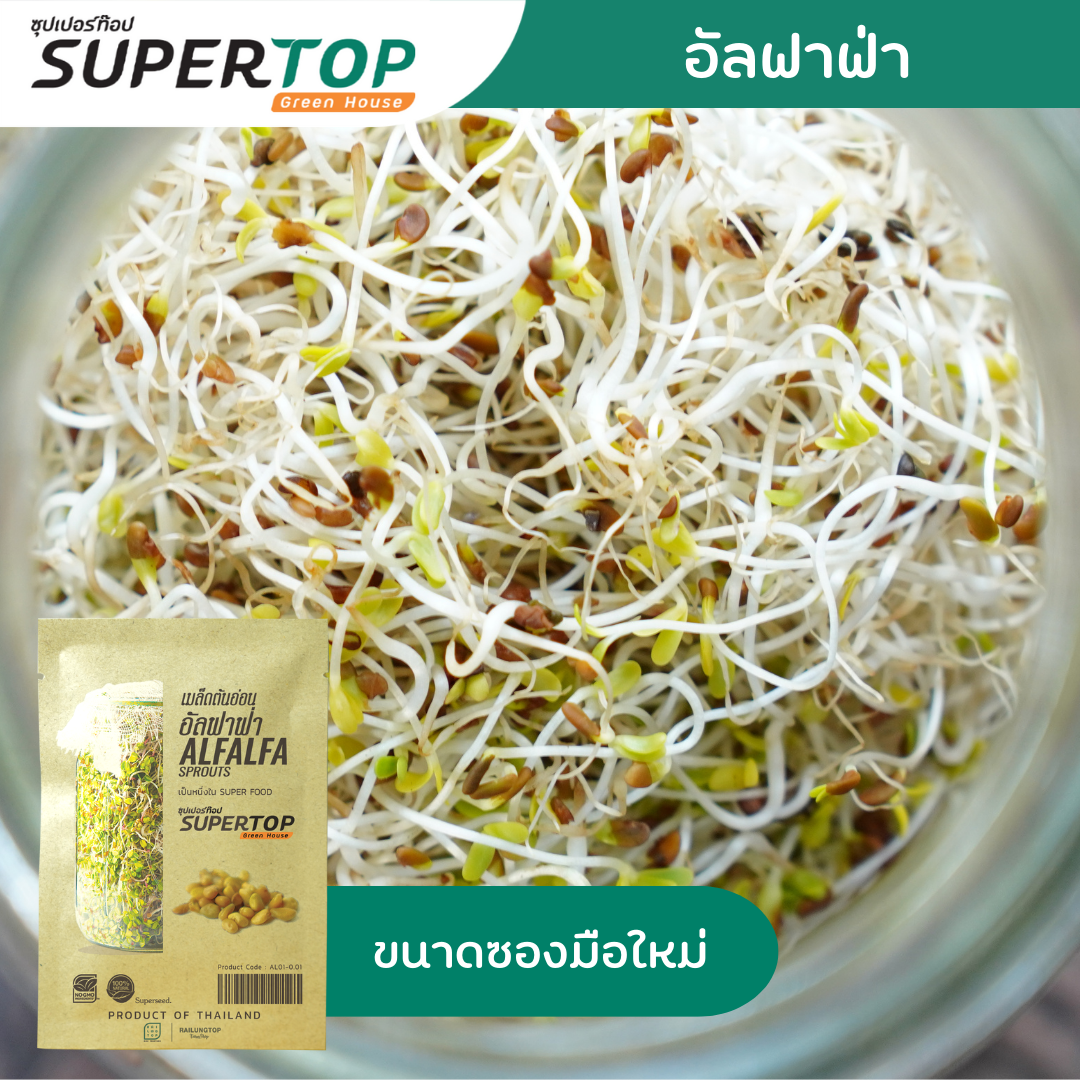 เมล็ดเพาะต้นอ่อน (Microgreen) SUPERTOP | Non-GMO ขนาดซองมือใหม่