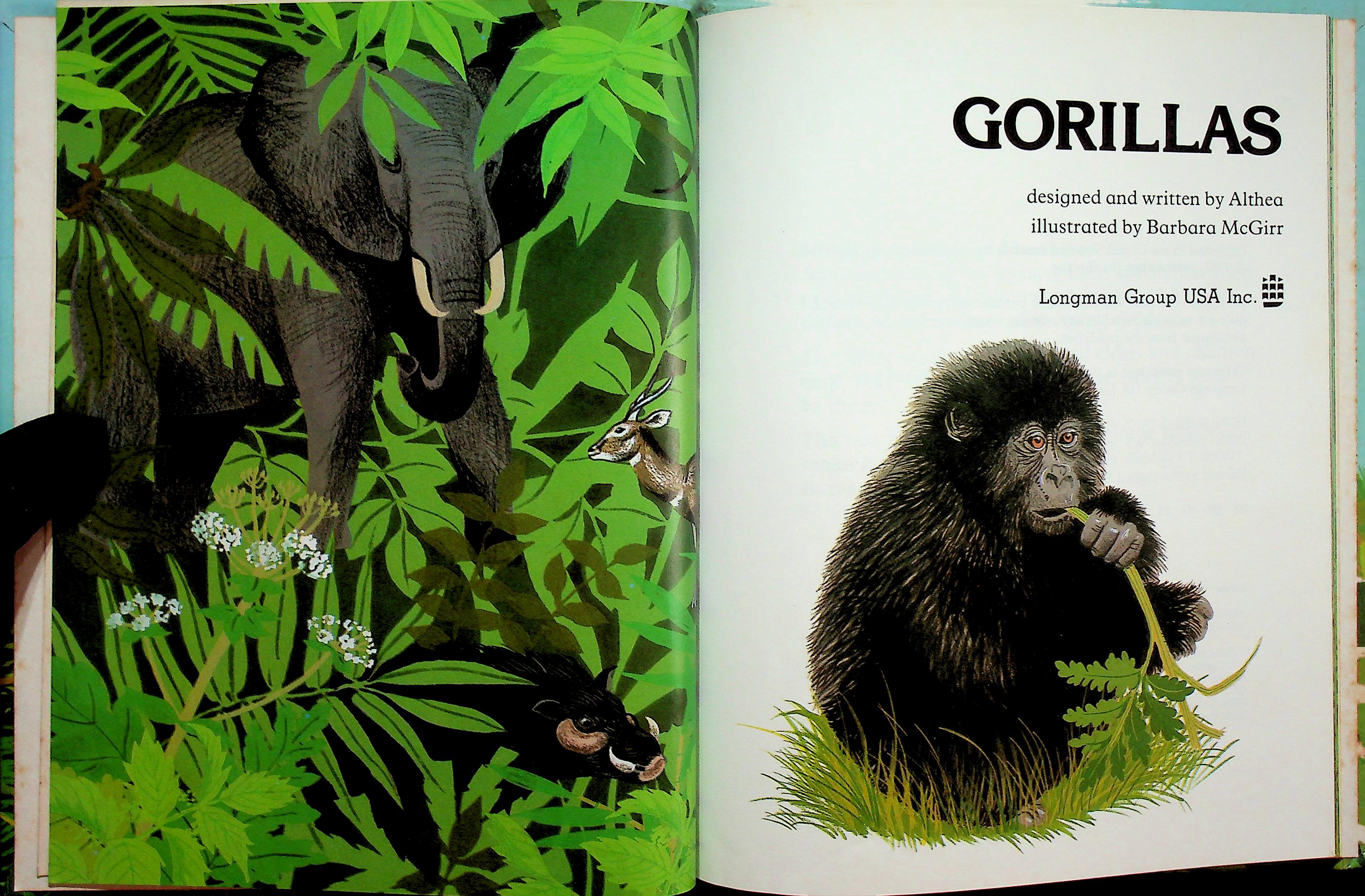 GORILLAS SAVE OUR WILDLIFE BY ALTHEA