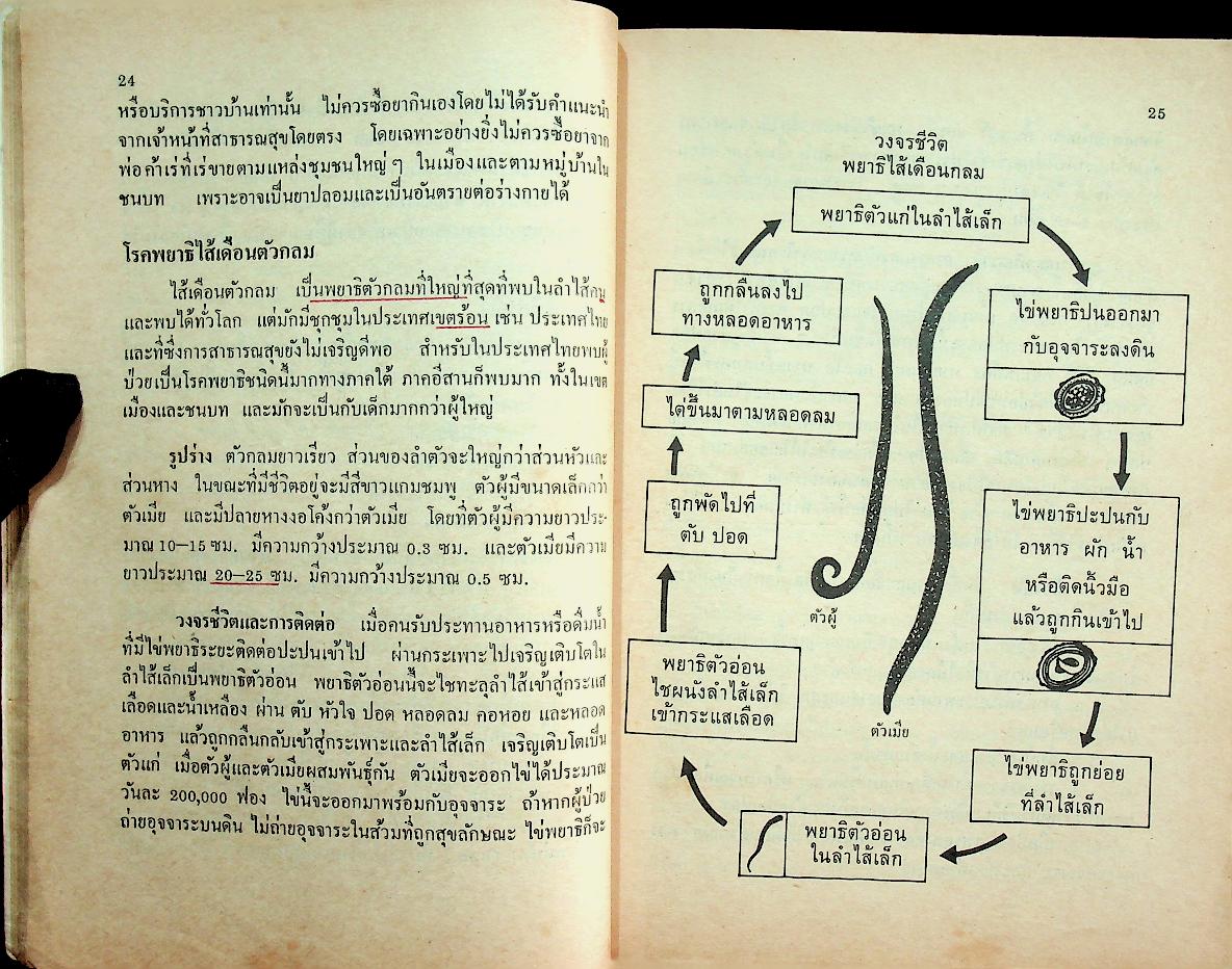 หนังสือเรียนพลานามัย รายวิชา พ ๓๐๕ - พ ๓๐๖ สุขศึกษา ชั้นมัธยมศึกษาปีที่ ๓ (ม.๓)