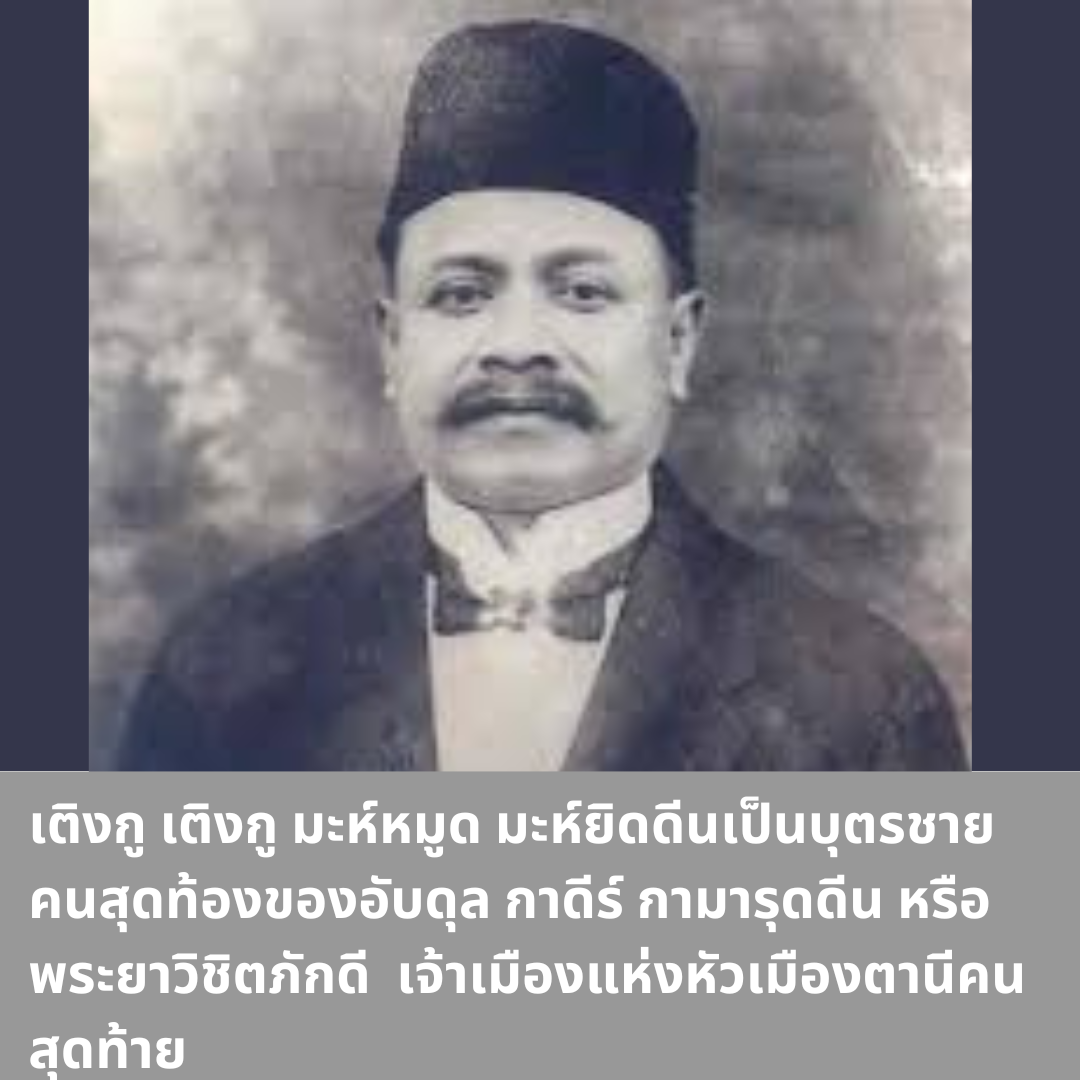 หนังสือ 'พยัคฆ์แห่งมาลายา: ชีวประวัติเติงกู มะห์หมูด มะห์ยิดดีน ผู้ต่อสู้เพื่อเอกราชของปาตานี'