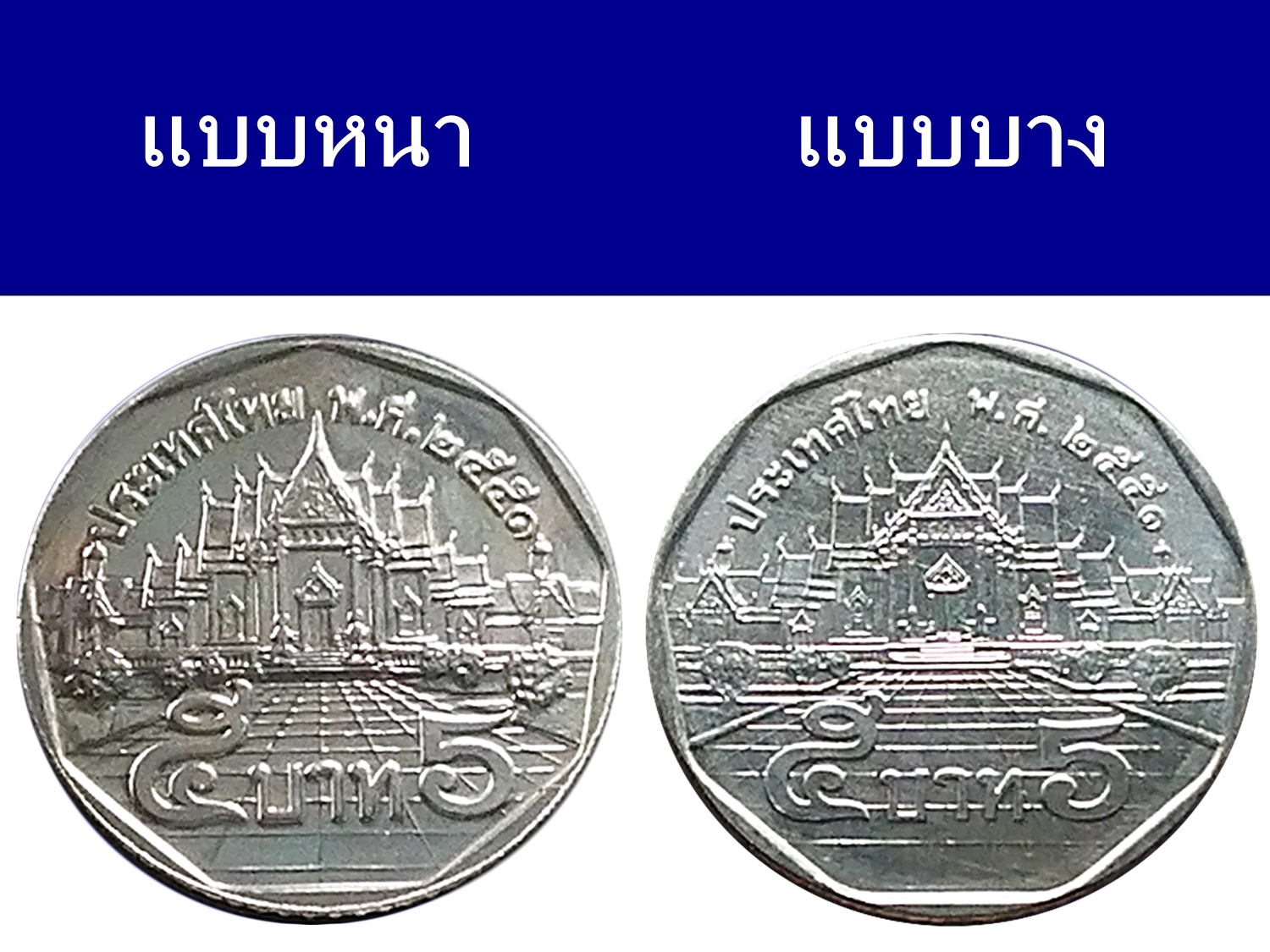 ชุดเหรียญ 5 บาท ปี พ.ศ.2551 "แบบบาง & แบบหนา" สภาพไม่ผ่านใช้