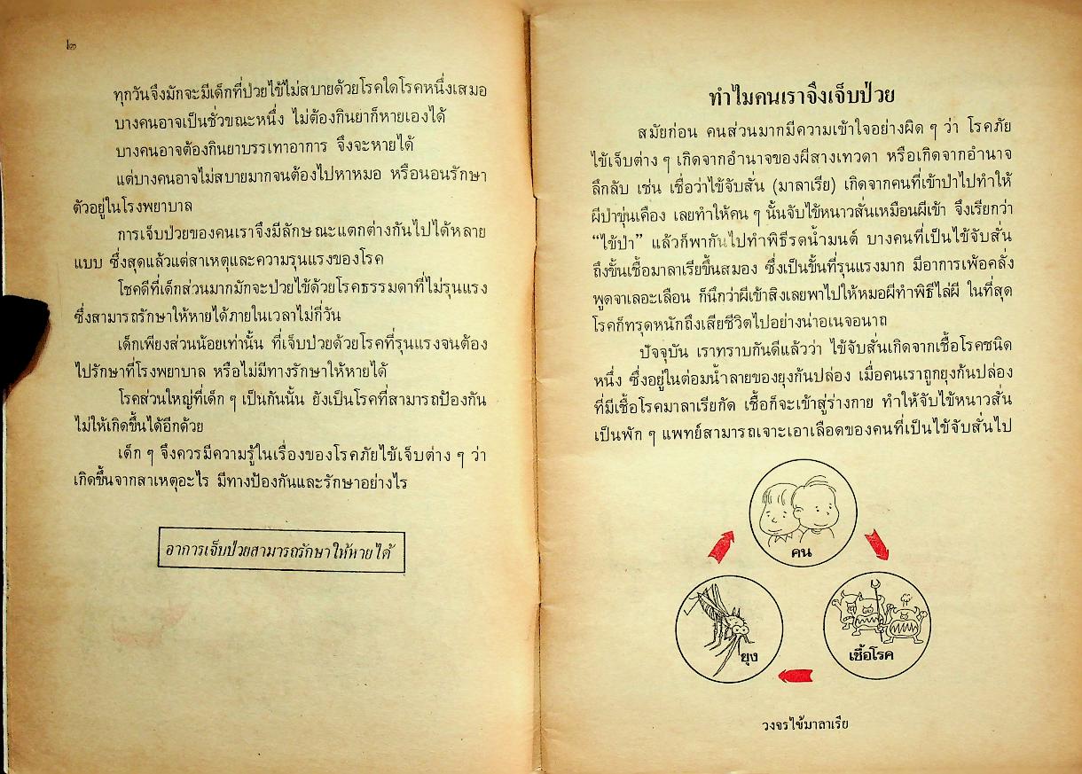 หนังสืออ่านเพิ่มเติม กลุ่มสร้างเสริมประสบการณ์ชีวิต ชุดเรื่องน่ารู้เกี่ยวกับสุขภาพ โรคภัยไข้เจ็บ ชั้นประถมศึกษาปีที่ ๕-๖