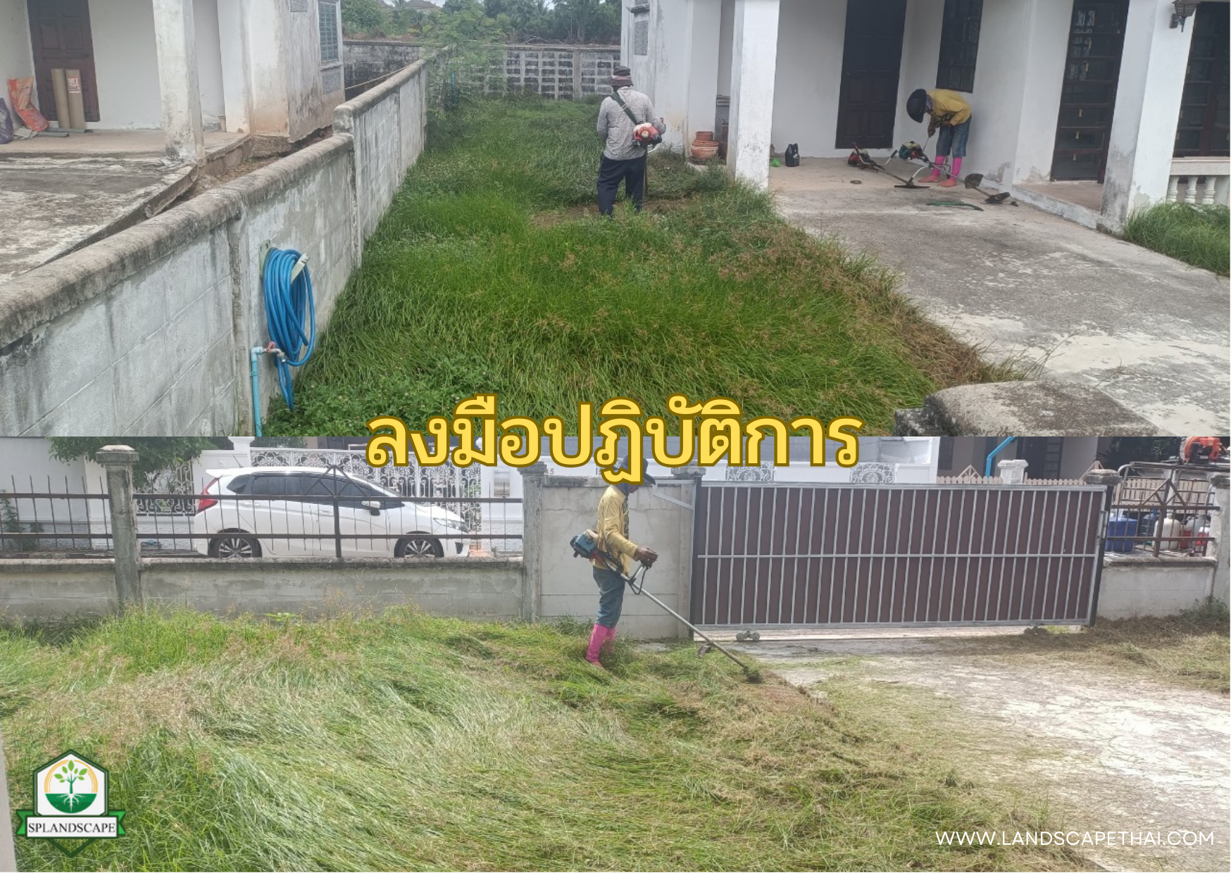 บริการรับตัดหญ้า เคลียร์ริ่ง ถางป่า โทร 094-515-7920 บริการรับตัดหญ้า เคลียร์ริ่ง ถางป่า โทร 094-515-7920
