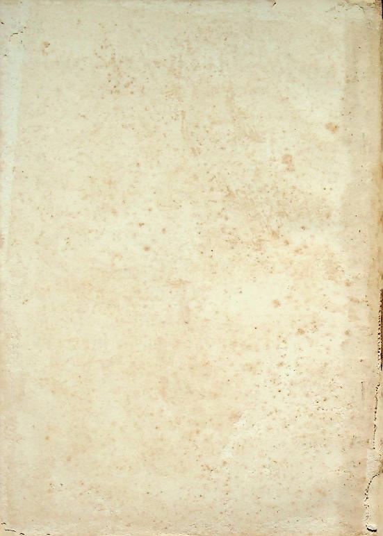 กติการะเบียบการแข่งขันว่ายน้ำ กติกากระโดดน้ำ วิธีฝึกว่ายน้ำ กติกาโปโลน้ำ