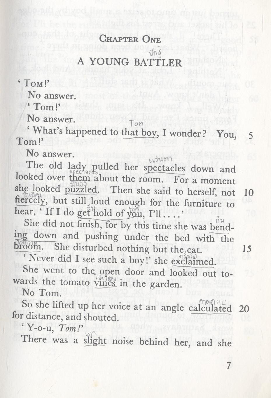THE ADVENTURES OF TOM SAWYER