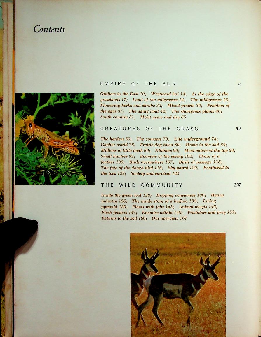 The Life of Prairies and Plains