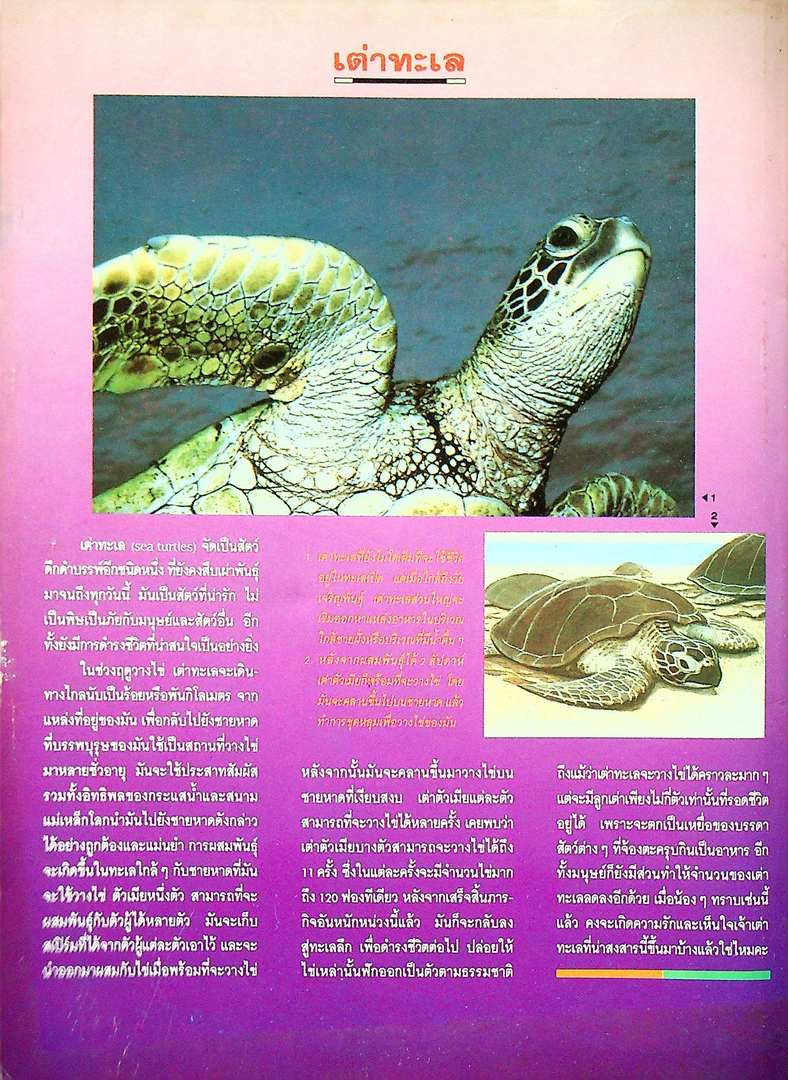 แม็ค ม.ต้น ปีที่ 13 ฉบับที่ 1 พฤษภาคม 2536