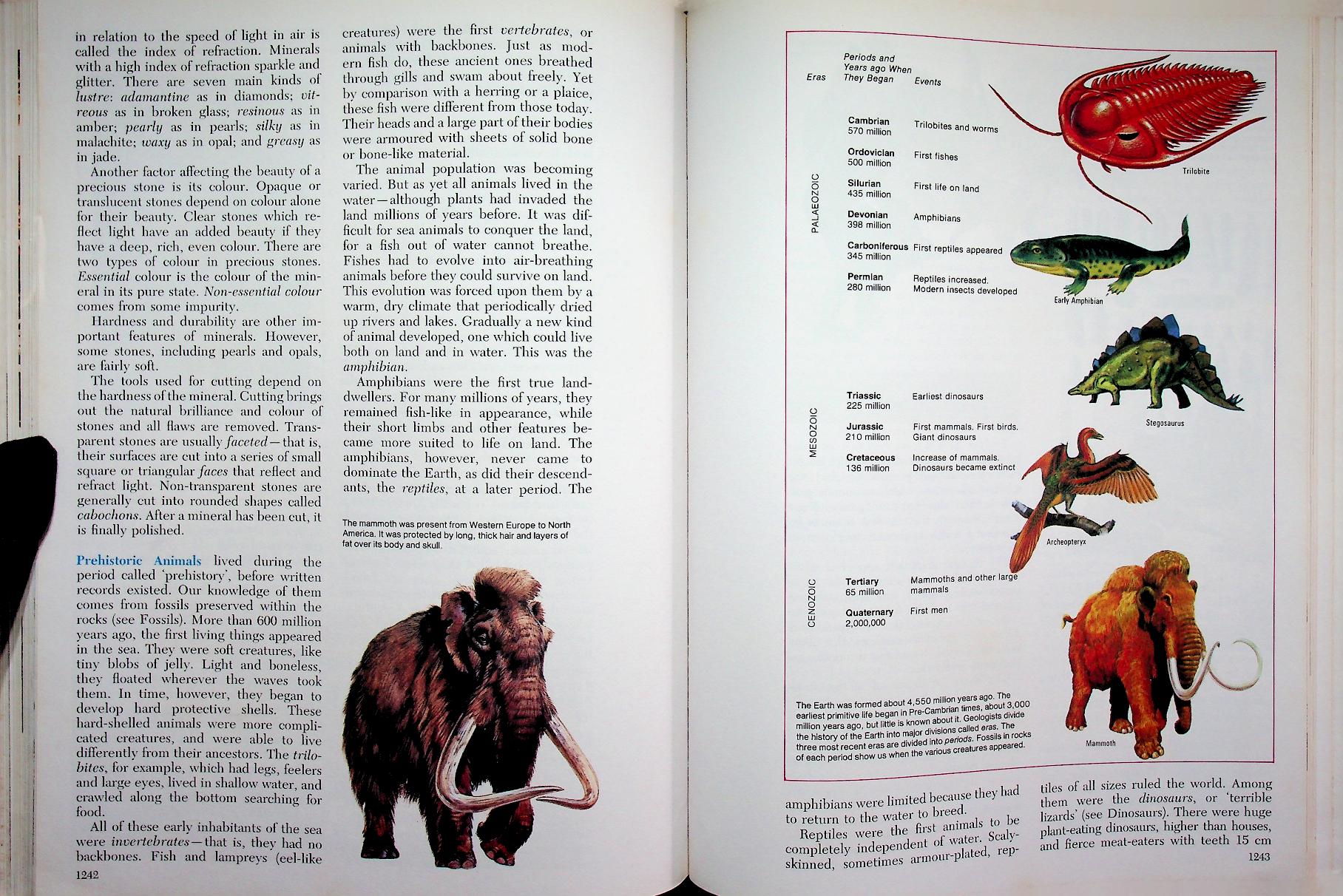 The 21st Century JUNIOR WORLD Encyclopedia 8