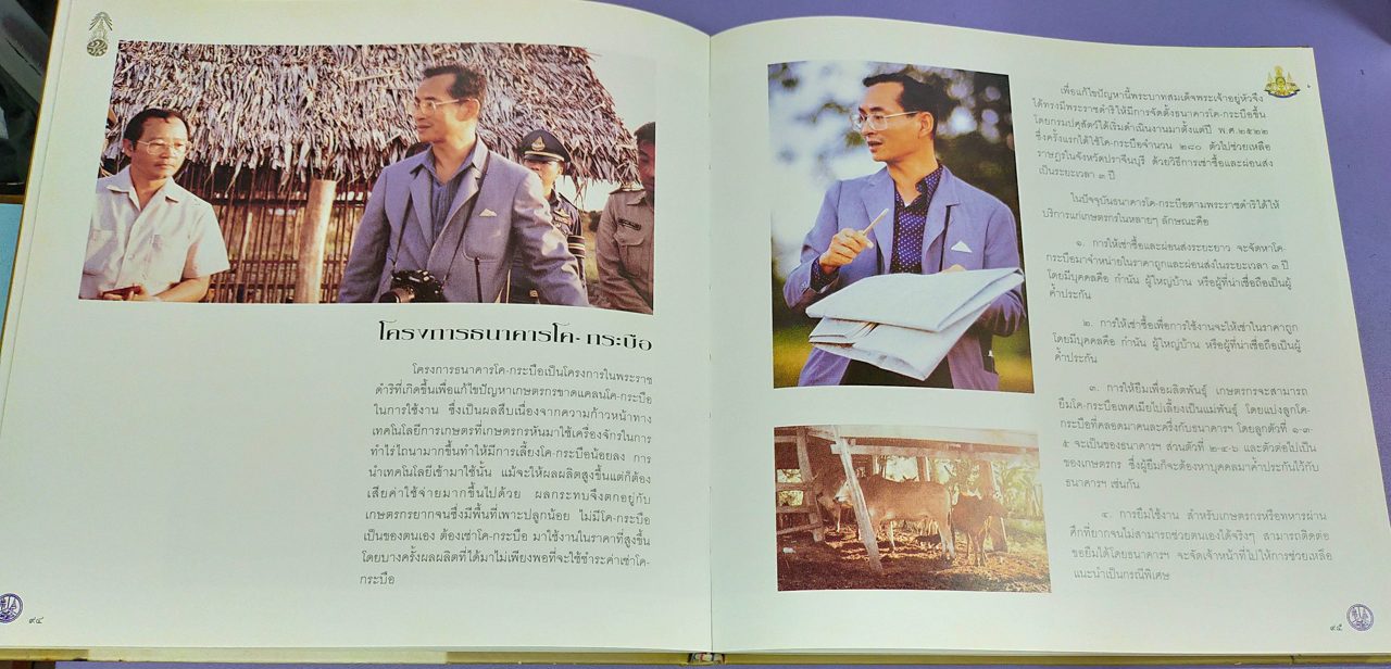 ในหลวงกับการพัฒนาชนบท