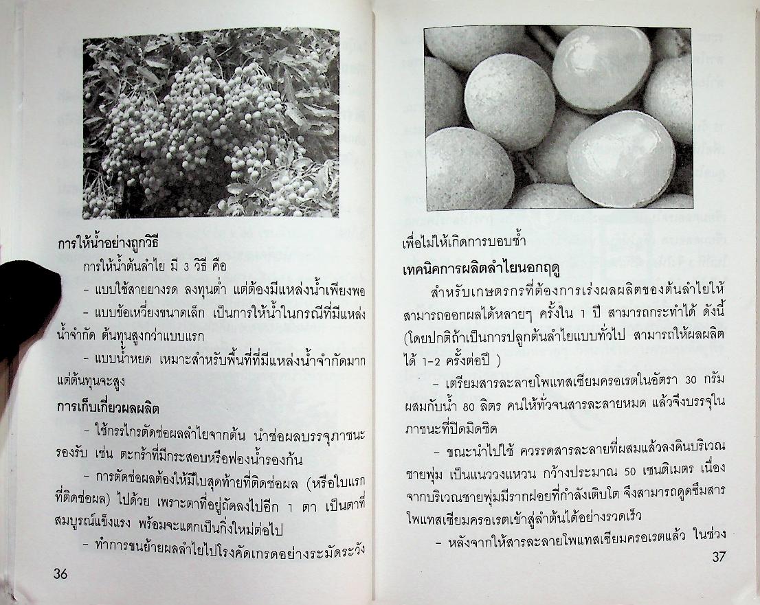 ภูมิรักษ์ธรรมชาติ ภาคเหนือ