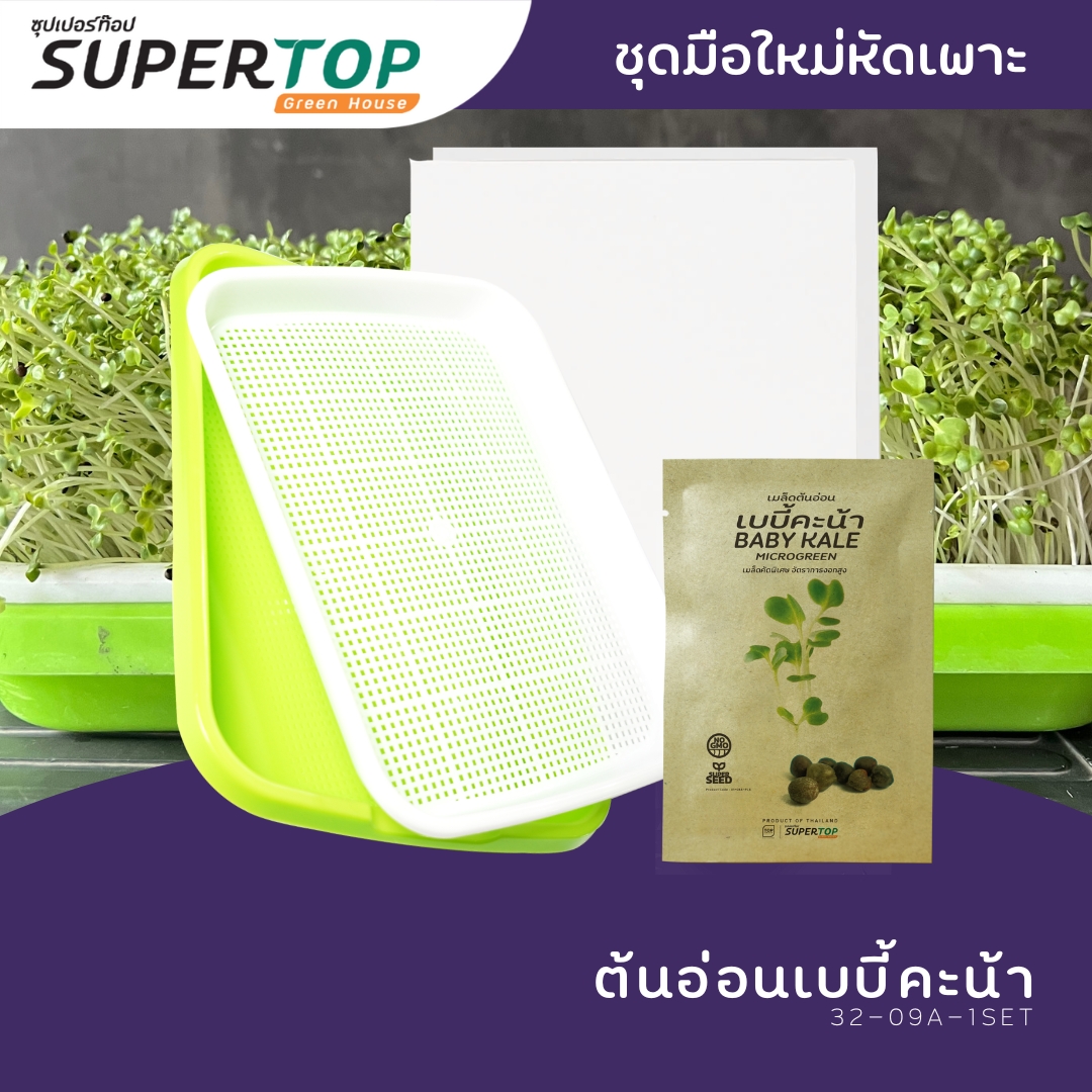 ชุดทดลองเพาะมือใหม่ (แบบไร้ดิน) SUPERTOP | Planting Kit Microgreen