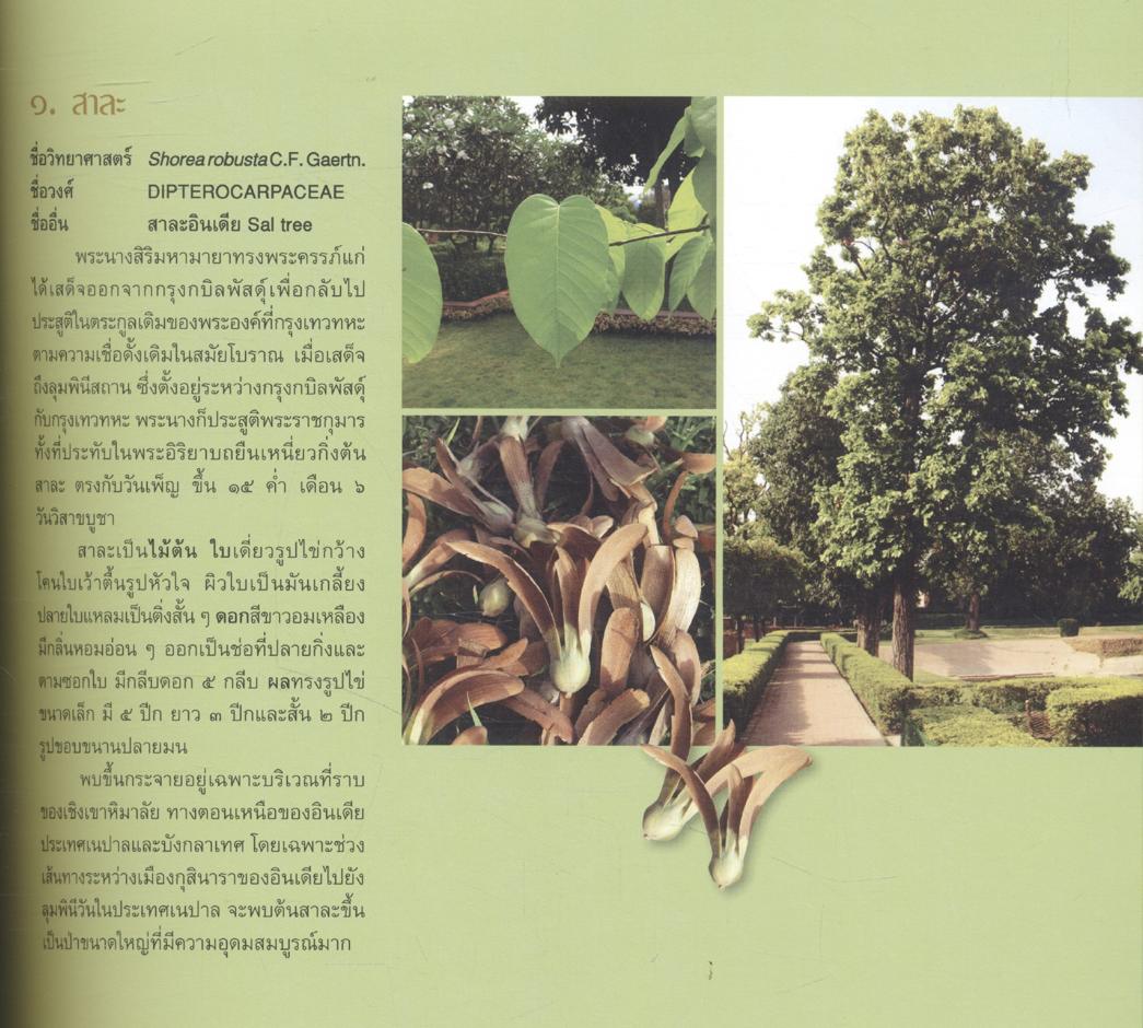 พุทธอุทยาน พระพุทธเมตตาประชาไทย