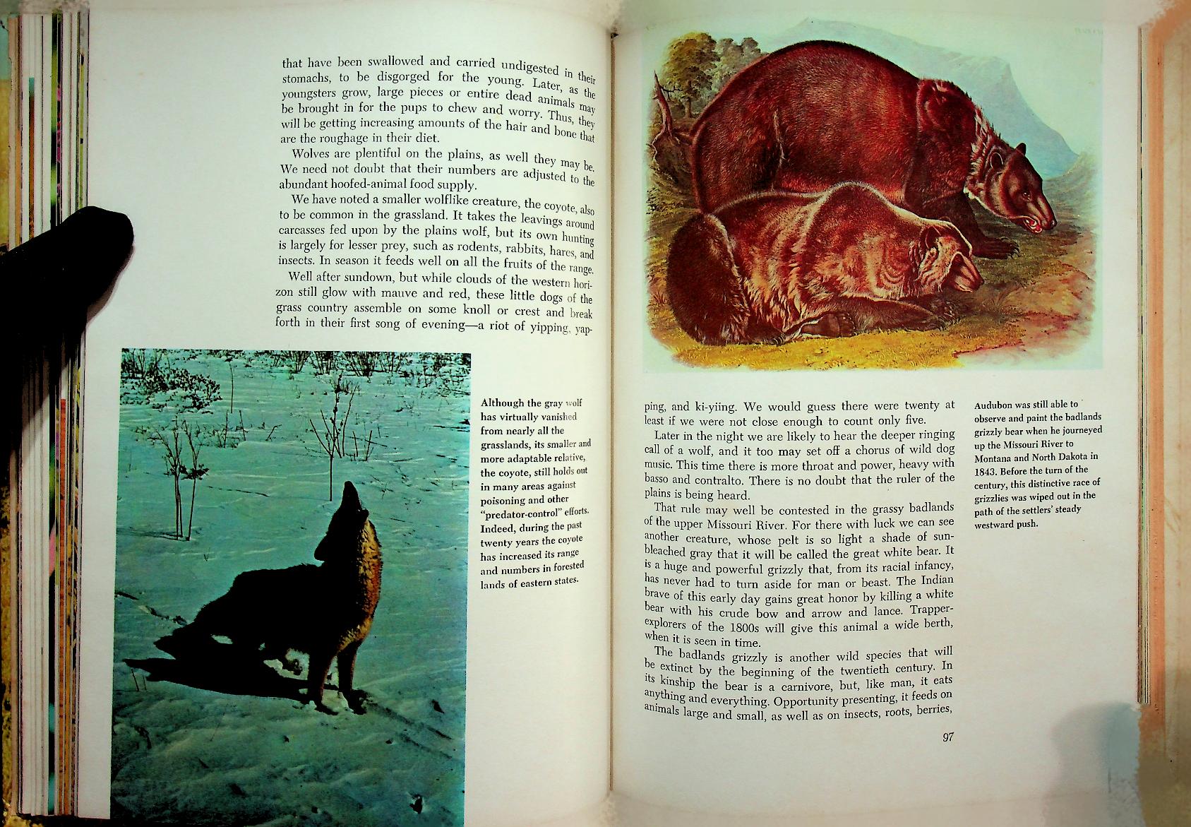 The Life of Prairies and Plains