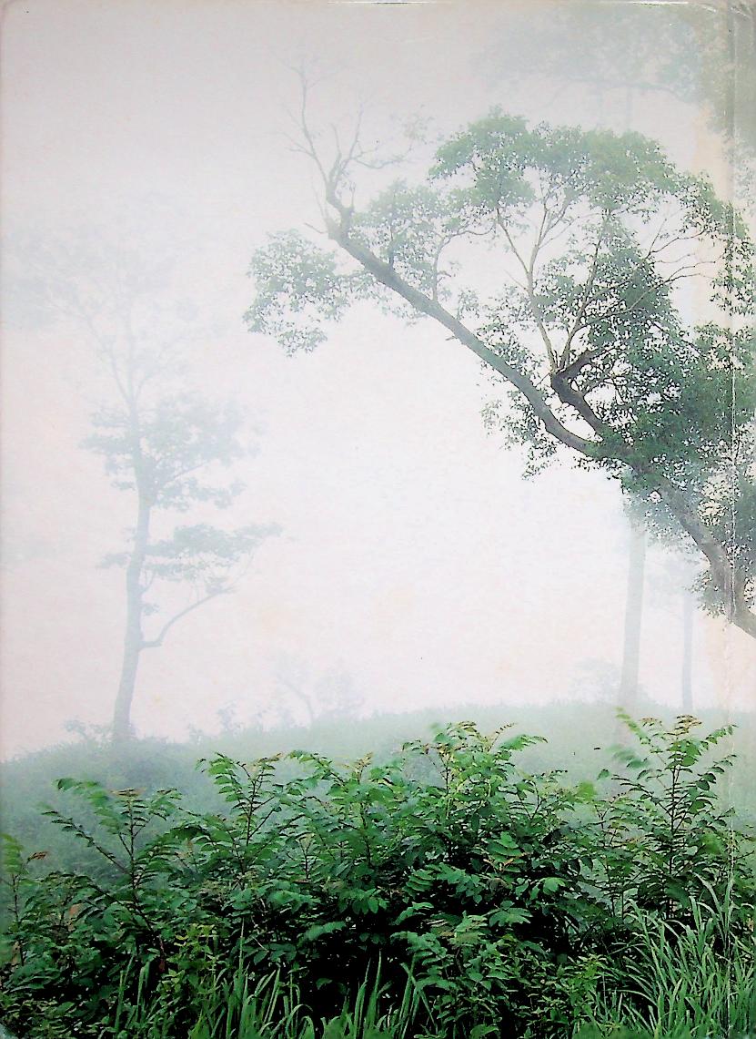 Phetchaboon A Picture Book to Remember Her by