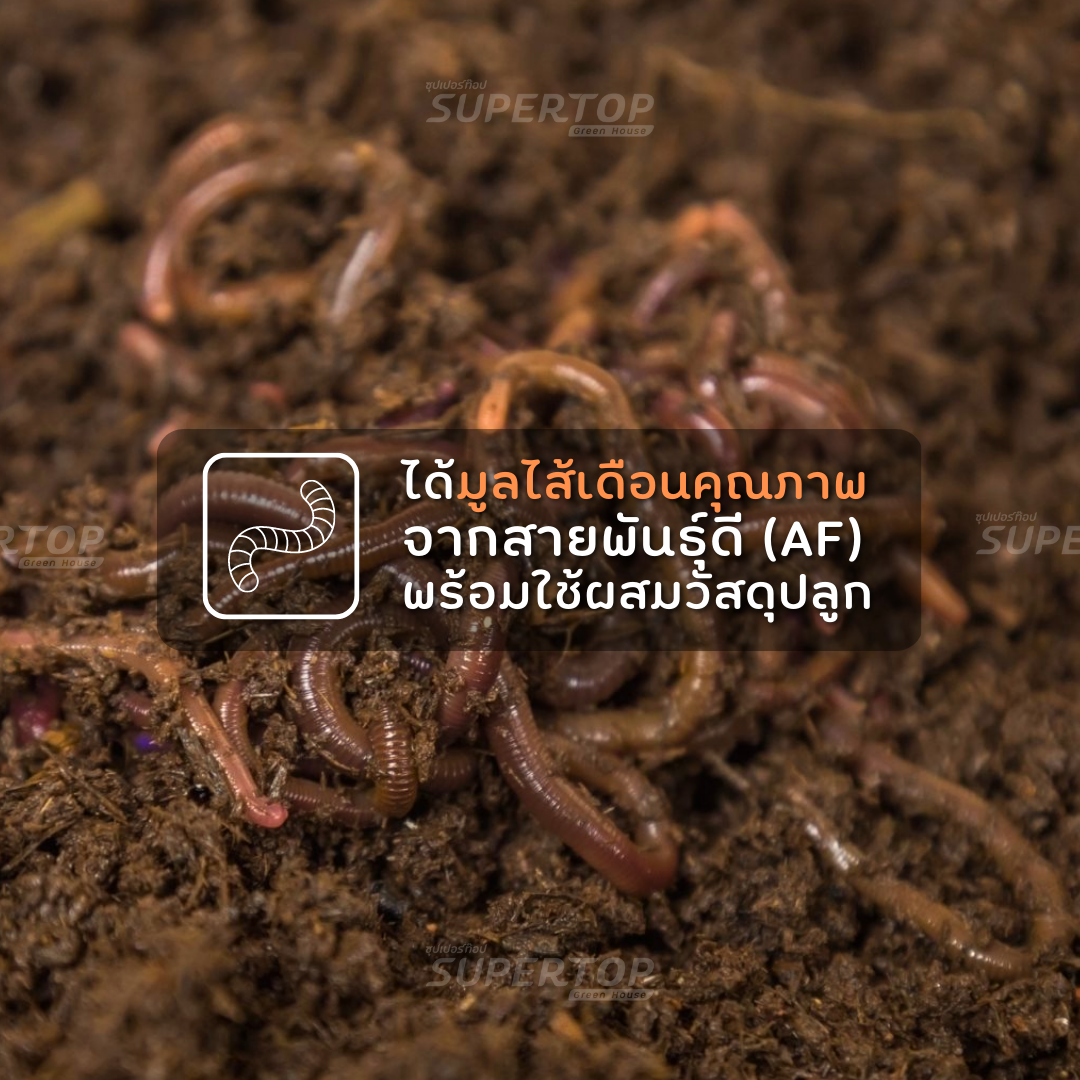 มูลไส้เดือน 1 KG. SUPERTOP | อุดมไปด้วยจุลินทรีย์ และธาตุอาหาร