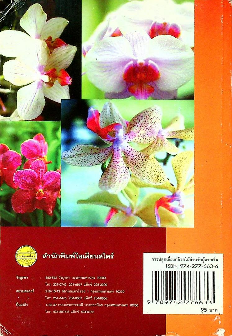 การปลูกเลี้ยง กล้วยไม้ สำหรับผู้แรกเริ่ม