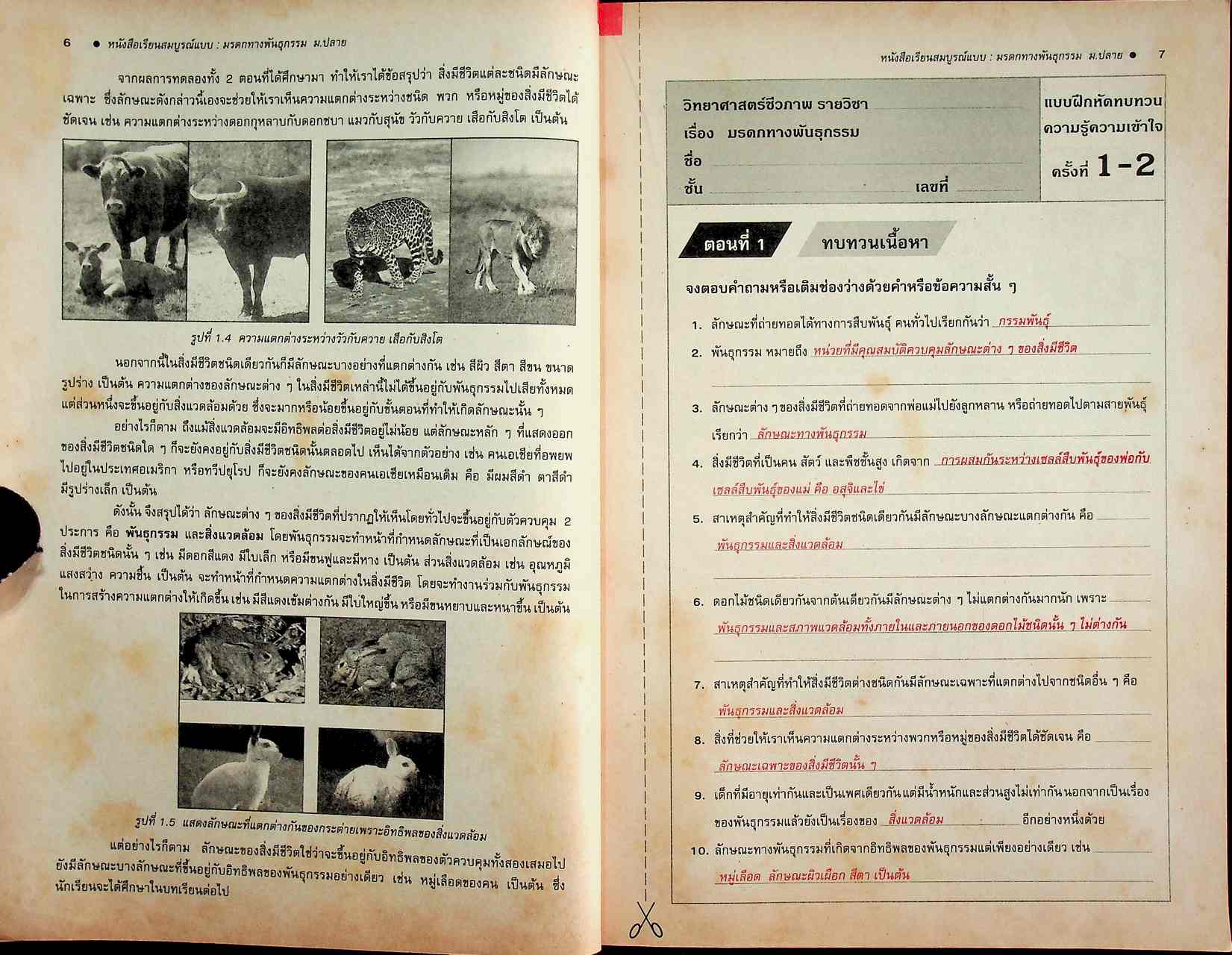 คู่มือครู-เฉลย หนังสือเรียนสมบูรณ์แบบ วิทยาศาสตร์กายภาพชีวภาพ มรดกทางพันธุกรรม ระดับมัธยมศึกษาตอนปลาย