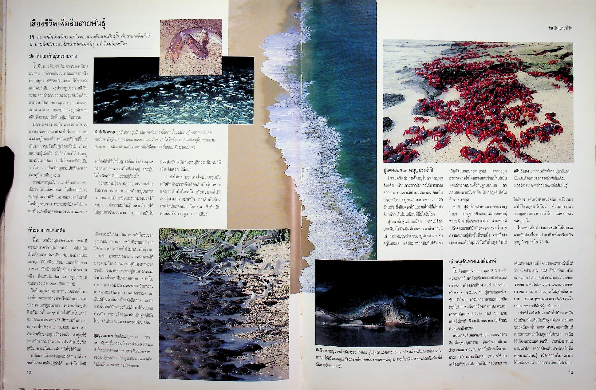 สำรวจชีวิตสัตว์โลกผู้น่าทึ่ง