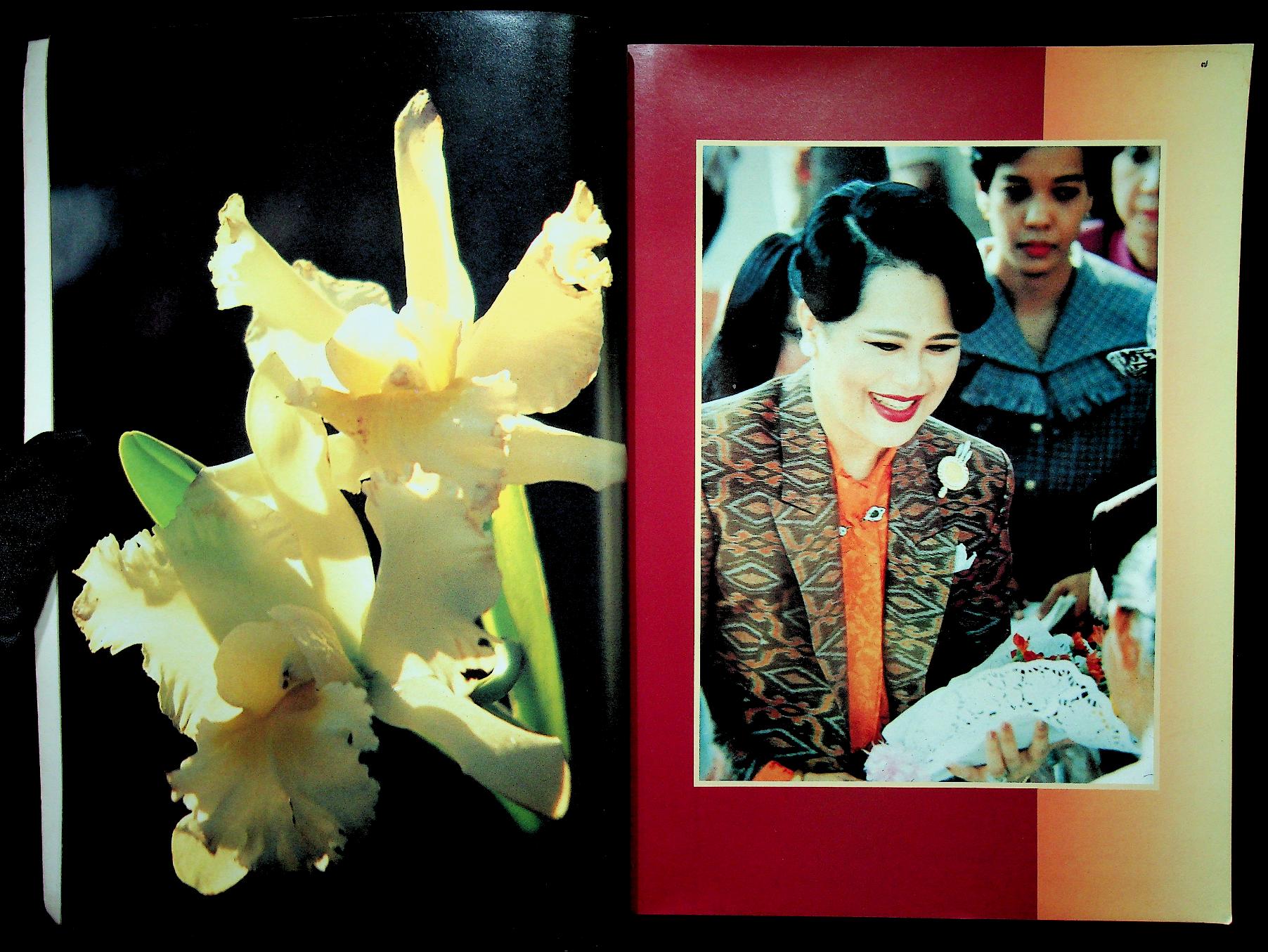 สะหลุงหลวง