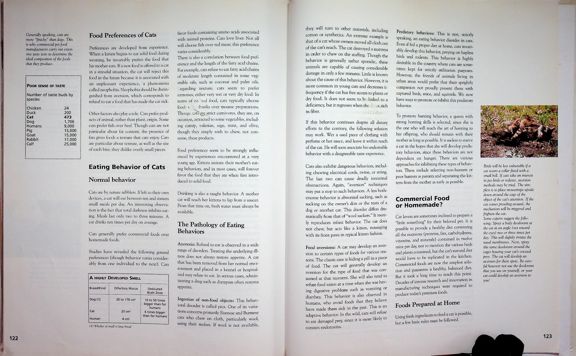 The Cat ENCYCLOPEDIA Volume 2