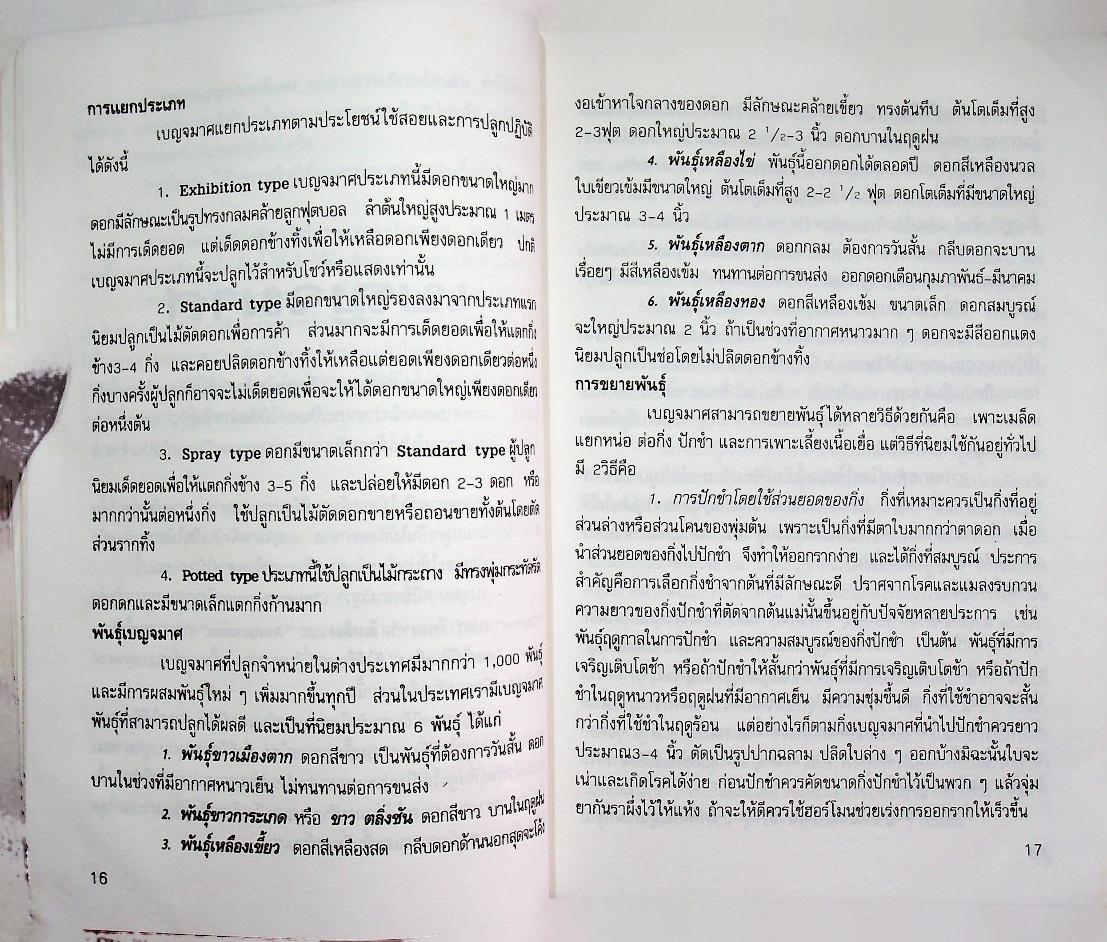 ไม้ดอก ไม้ประดับ