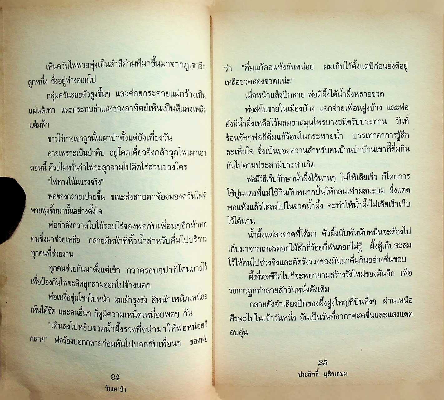 ชีวิตบ้านป่า